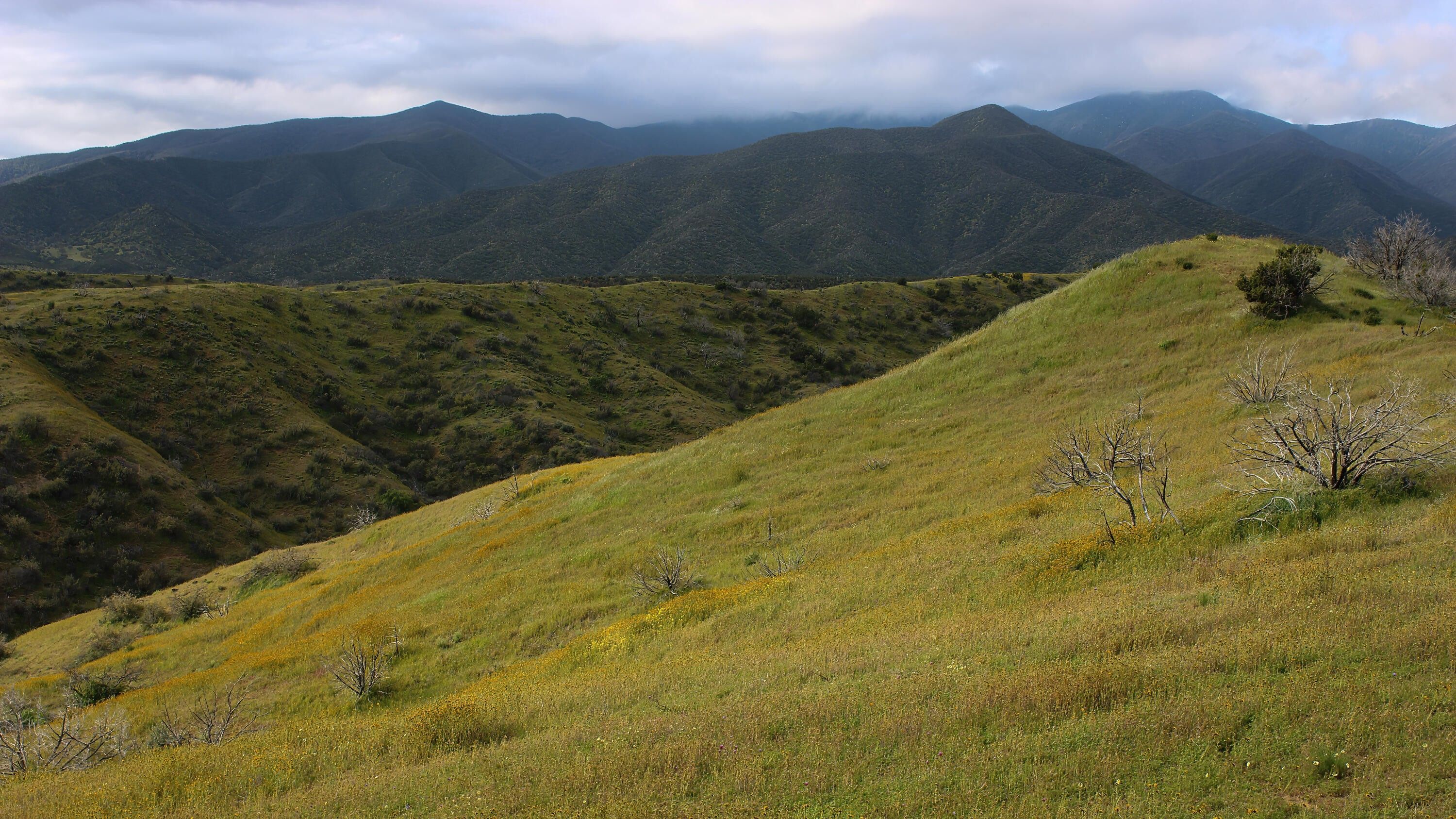 New Cuyama, Santa Barbara County, CA Farms and Ranches for sale