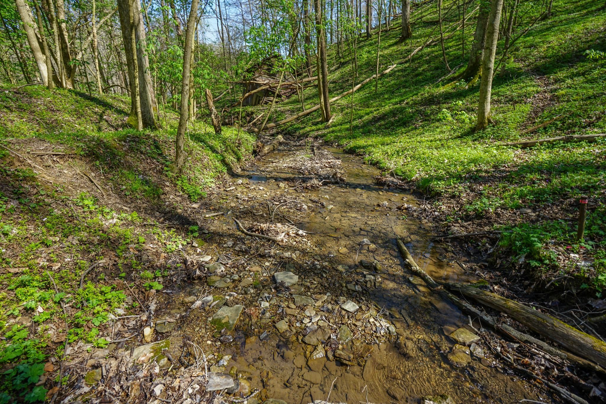 Cadiz, Harrison County, OH Farms and Ranches, Homesites for sale