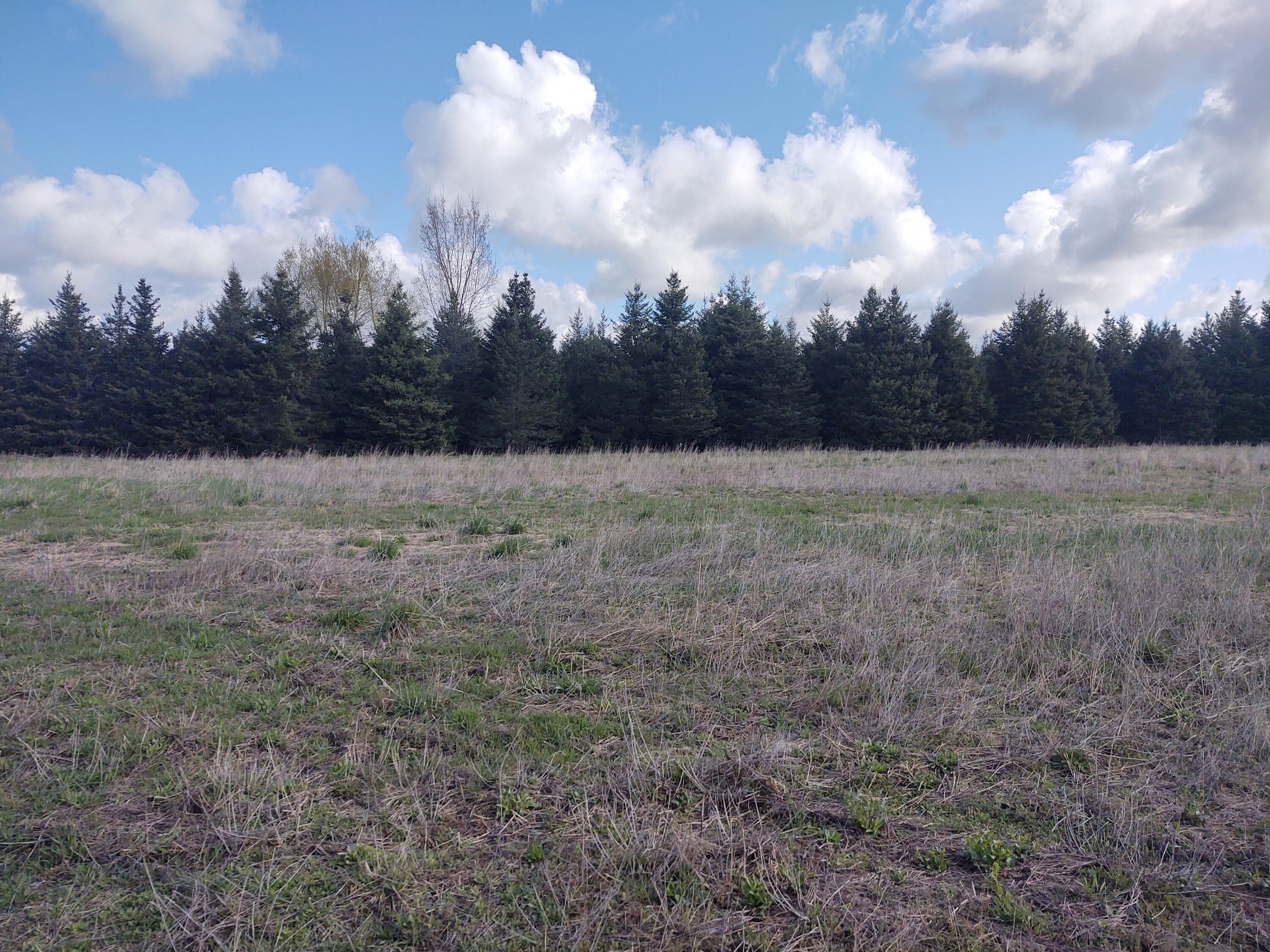 Lakeview, Mecosta County, MI Farms and Ranches for sale Property ID