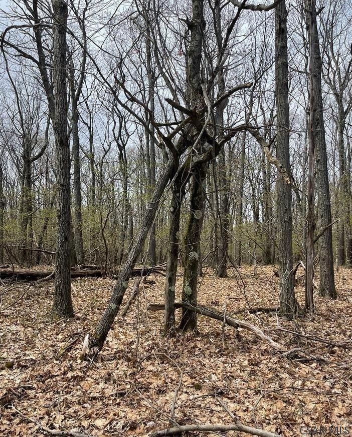 Central City, Somerset County, PA Farms and Ranches for sale Property