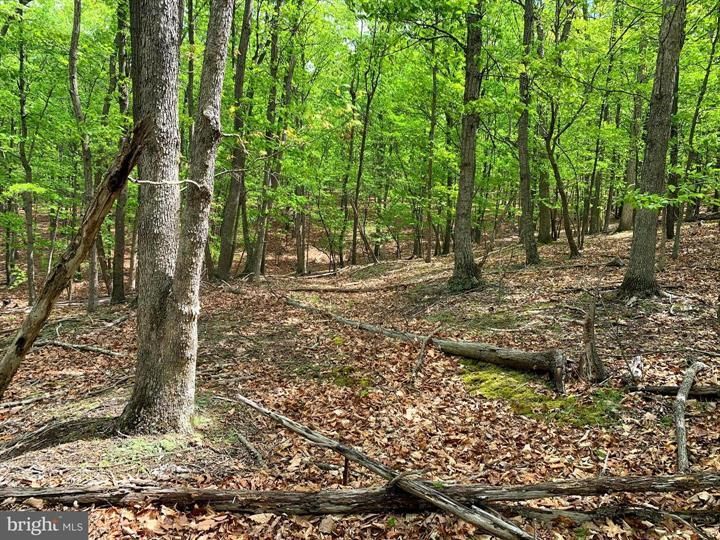 Romney, Hampshire County, WV Undeveloped Land for sale Property ID