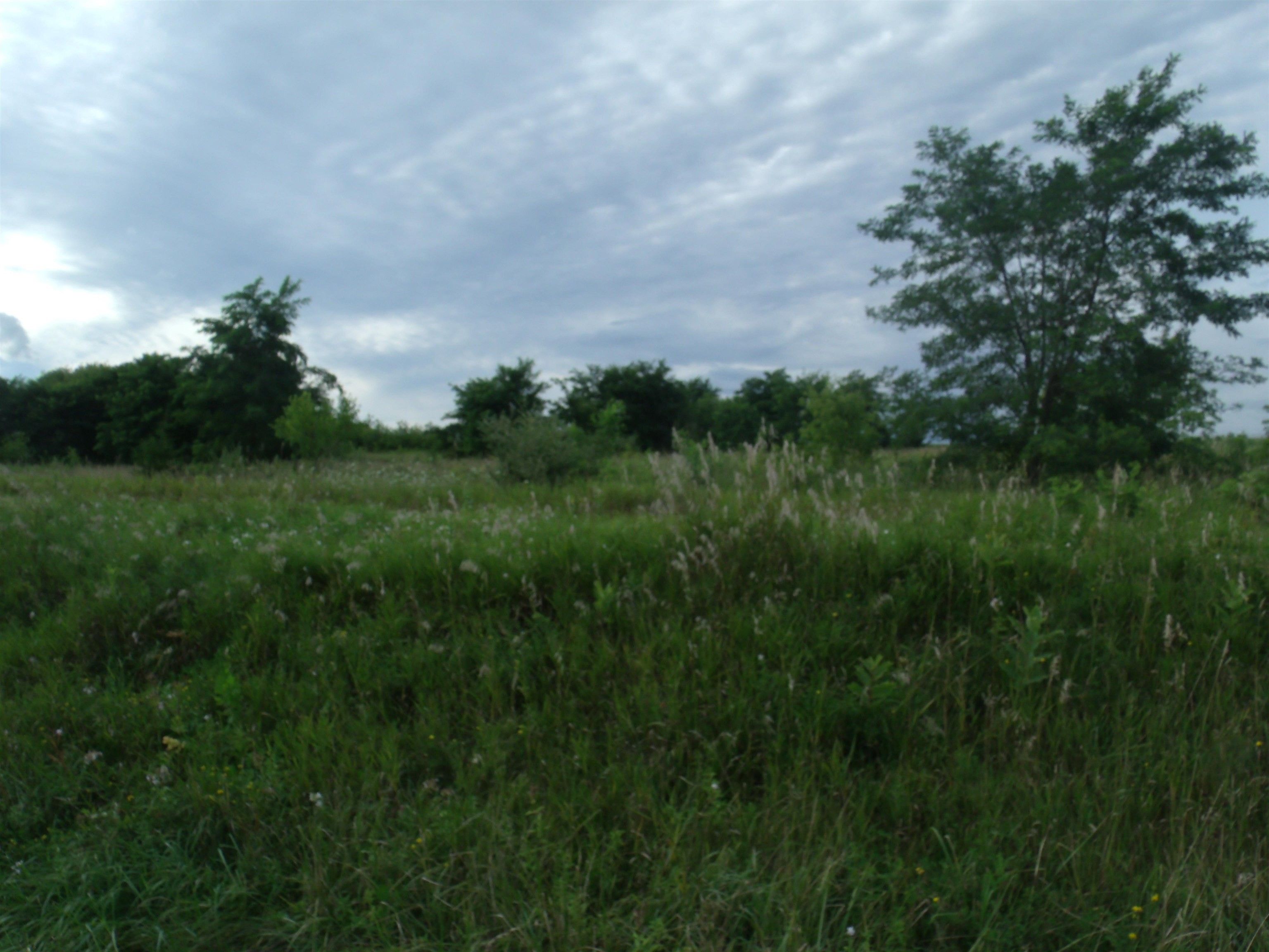 Princeton, Green Lake County, WI Farms and Ranches for sale Property ID