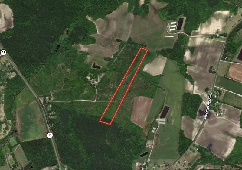 Rose Hill, Duplin County, NC Recreational Property, Timberland Property, Hunting Property for