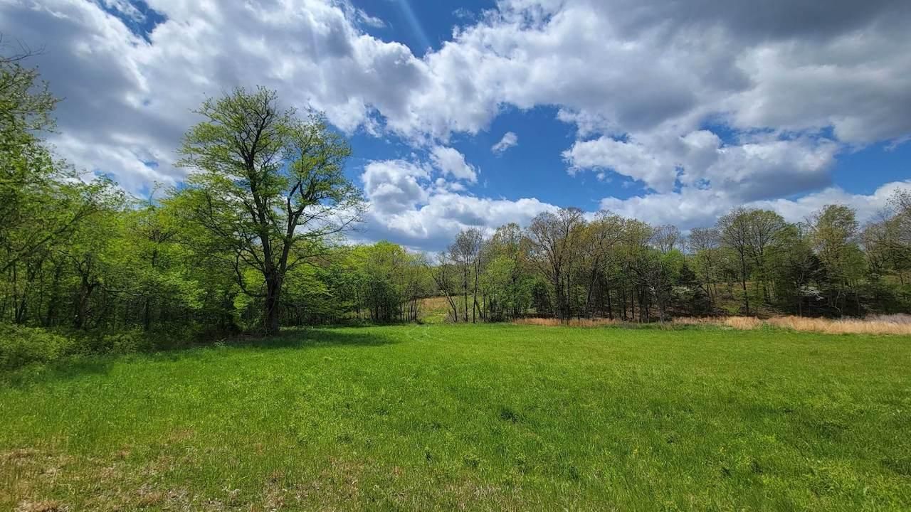 Roby, Texas County, MO Farms and Ranches, Undeveloped Land, Hunting