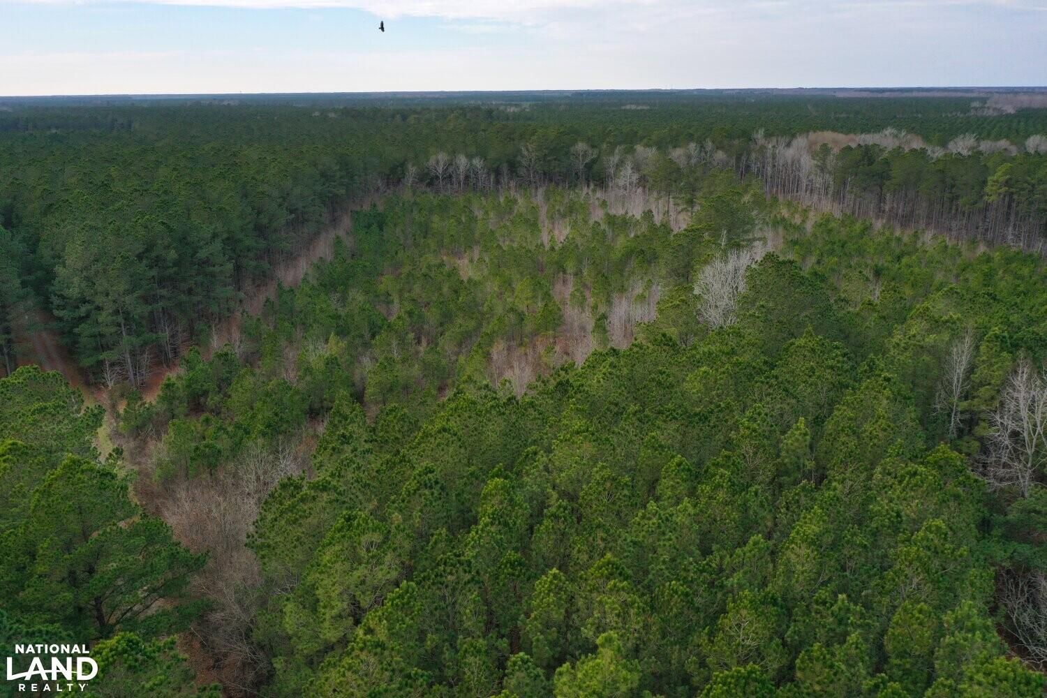 Windsor, Bertie County, NC Recreational Property, Timberland Property