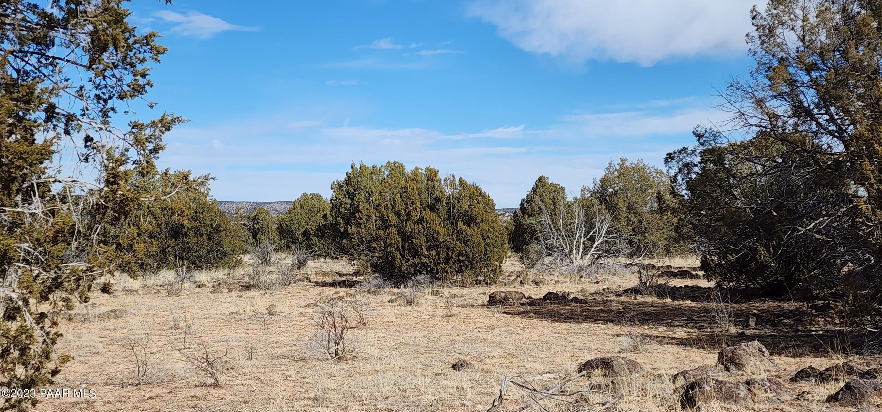 Paulden, Yavapai County, AZ Undeveloped Land for sale Property ID