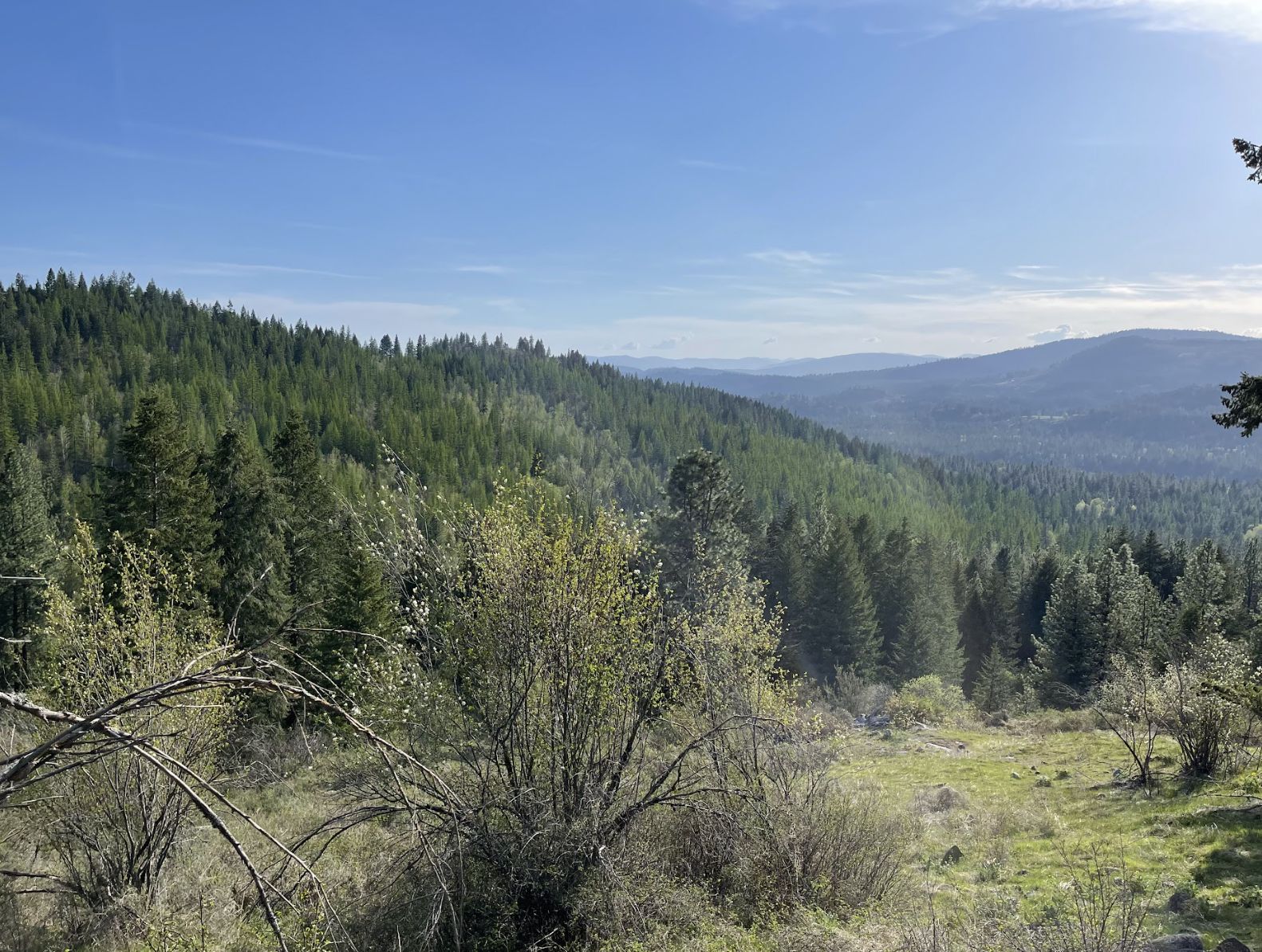 Moore Rd, Kettle Falls, WA 99141 LandWatch