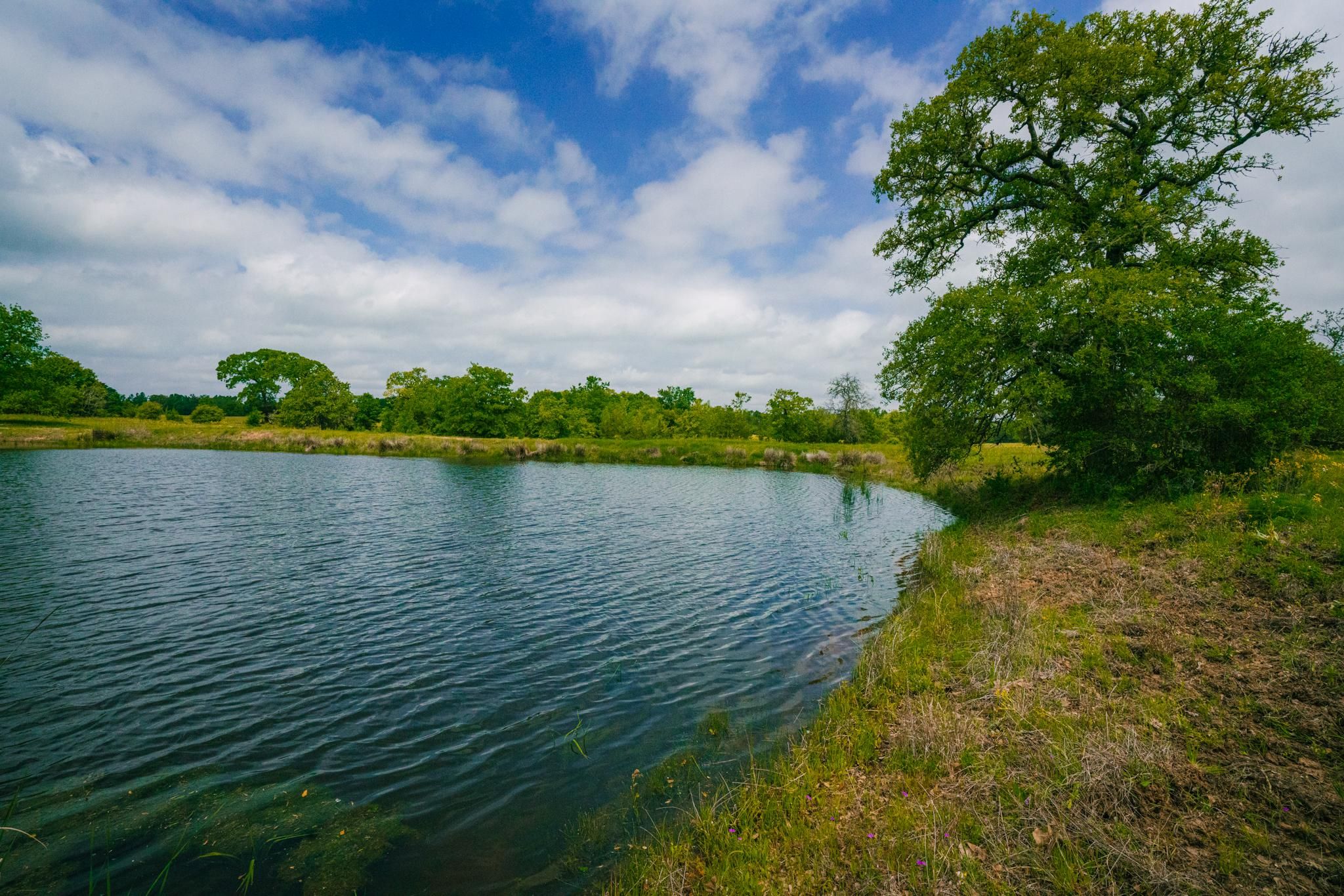 Gause, Milam County, TX Farms and Ranches, Recreational Property