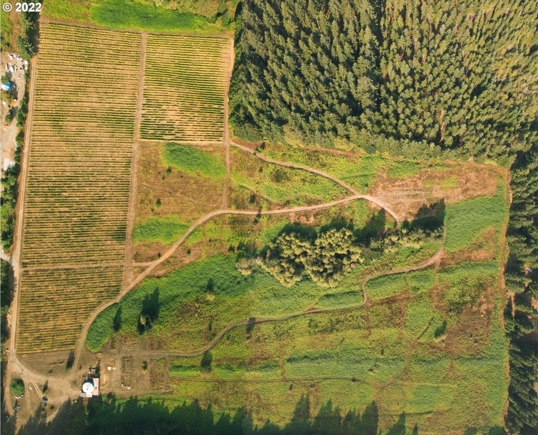 Lane County, OR Undeveloped Land for sale Property ID