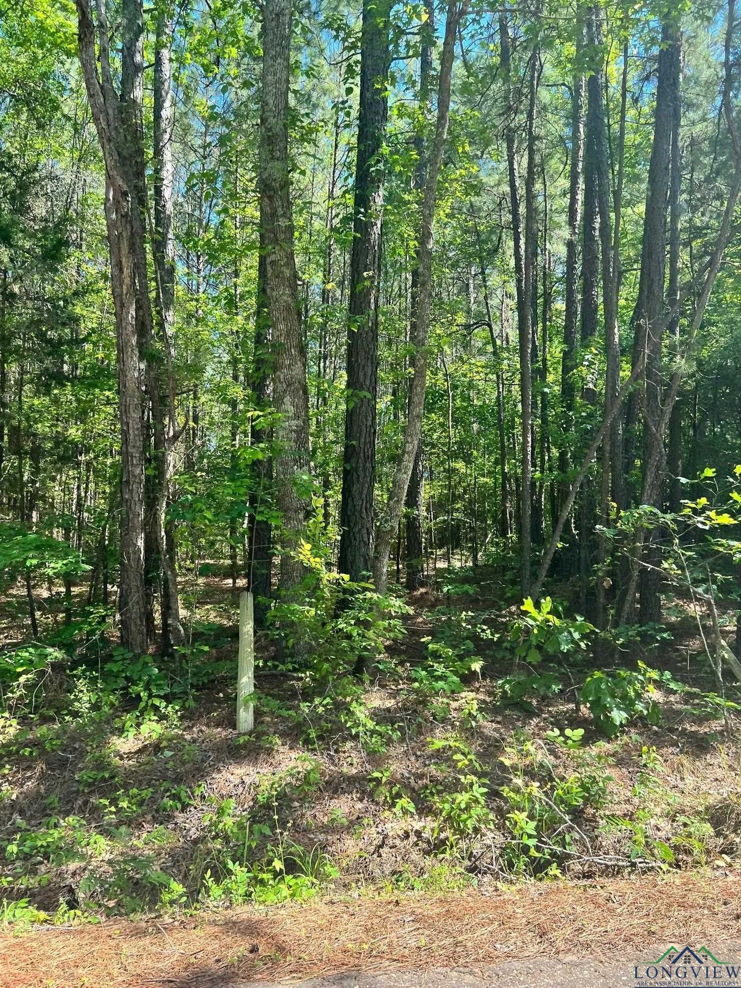 Overton, Rusk County, TX Farms and Ranches for sale Property ID