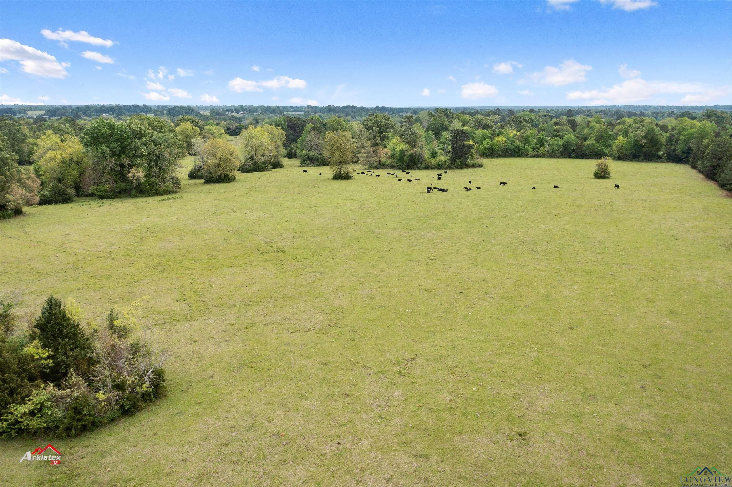 Beckville, Panola County, TX Farms and Ranches for sale Property ID 416383274 LandWatch