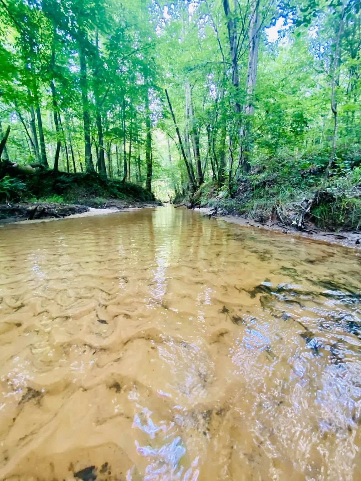 Glen, Alcorn County, MS Recreational Property, Timberland Property