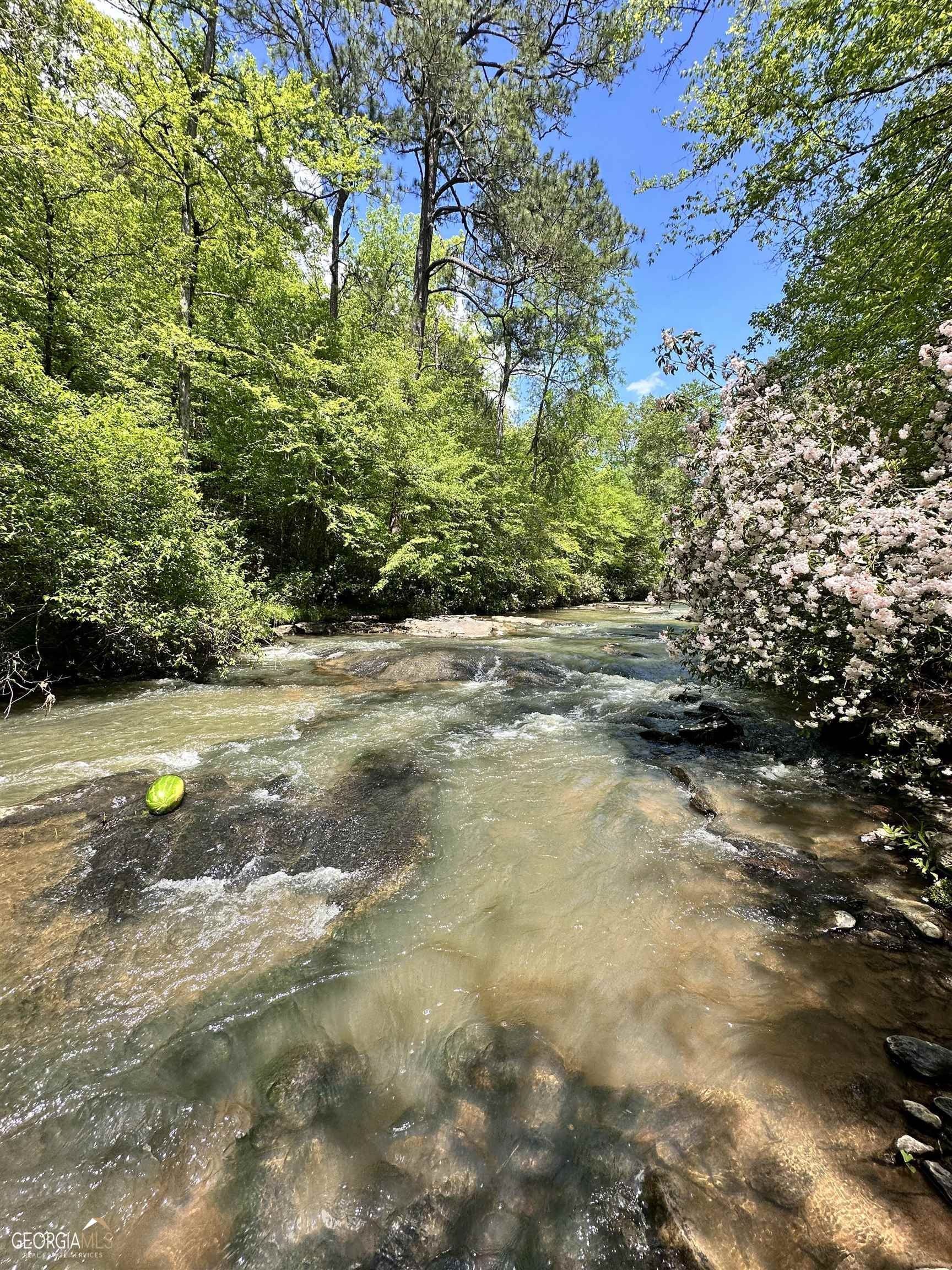 Covington, Newton County, GA Farms and Ranches, Lakefront Property