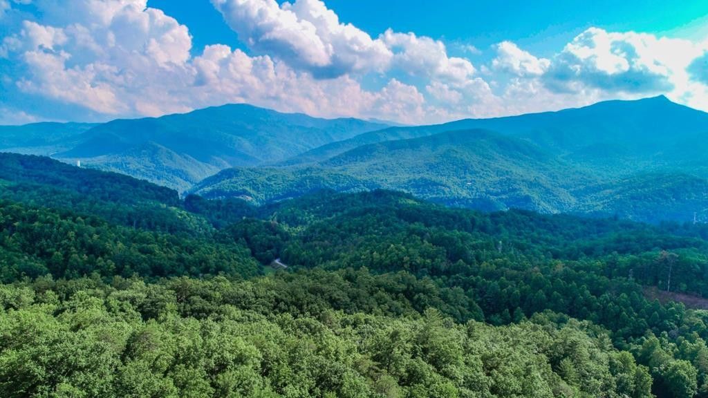 Hartford, Cocke County, TN Farms and Ranches for sale Property ID