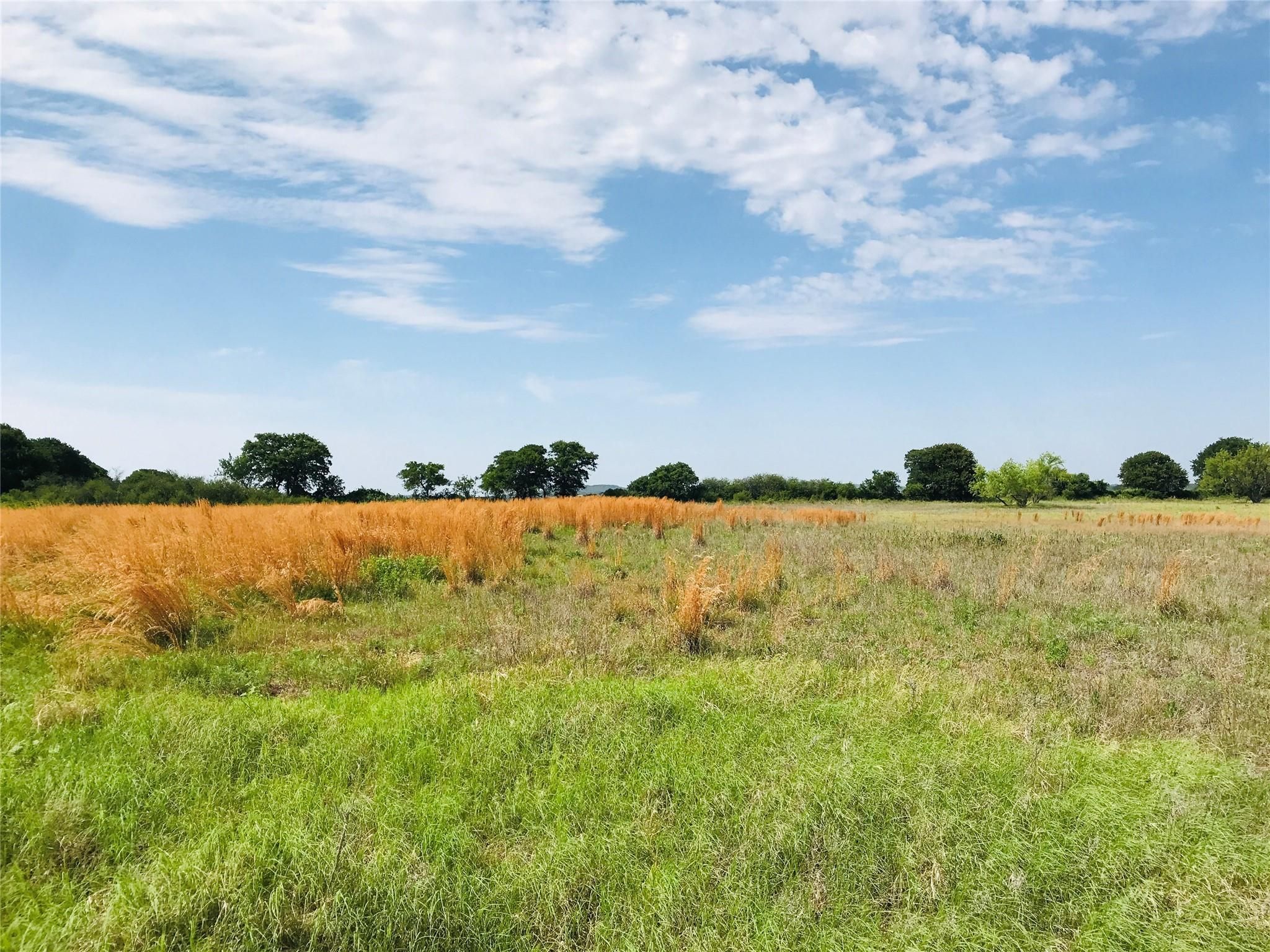 Rising Star, Eastland County, TX Farms and Ranches, Undeveloped Land