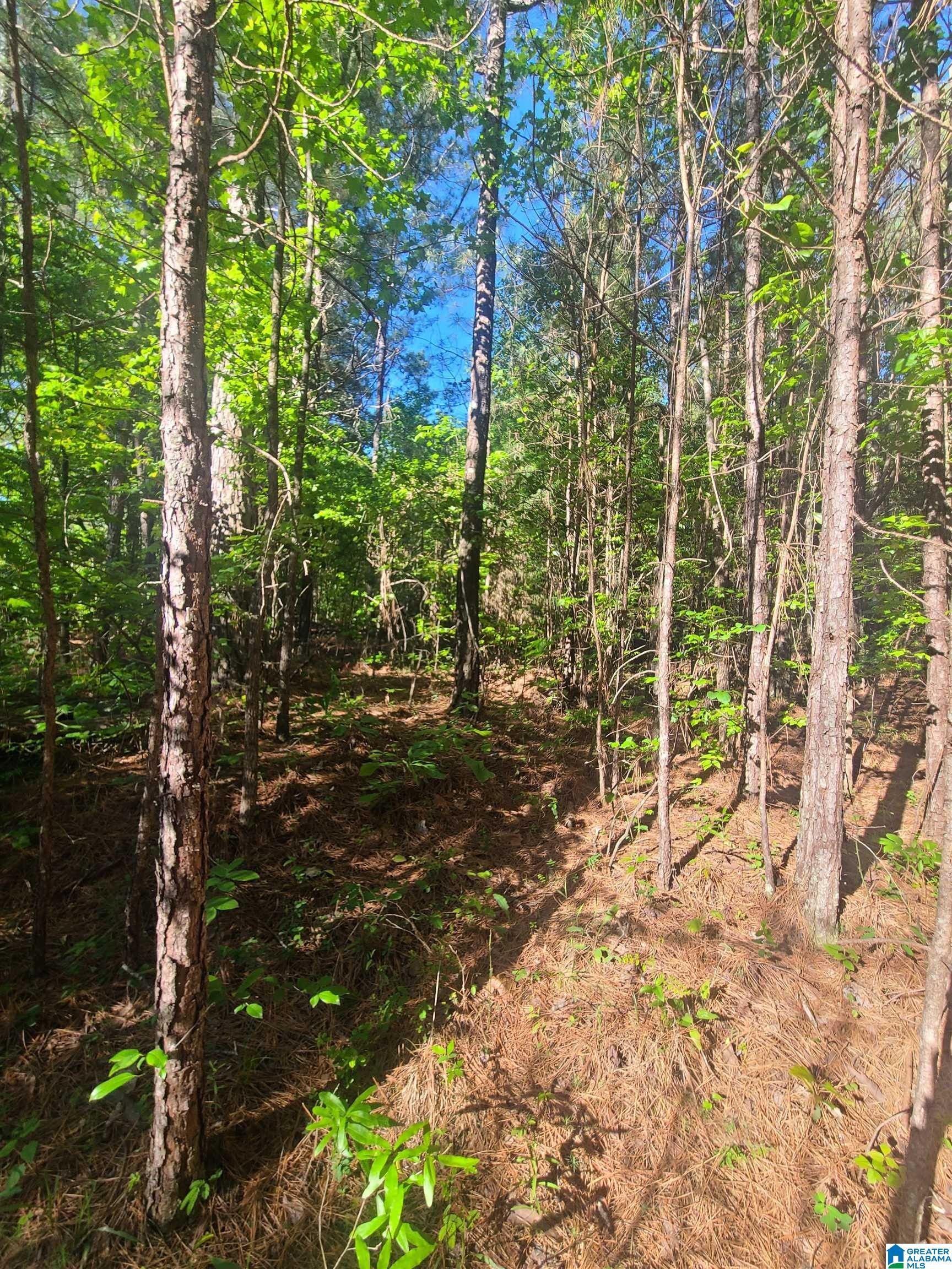 Pell City, Saint Clair County, AL Farms and Ranches for sale Property