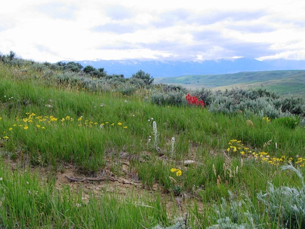 2,376 acres in Roberts, MT, 59070 LandWatch