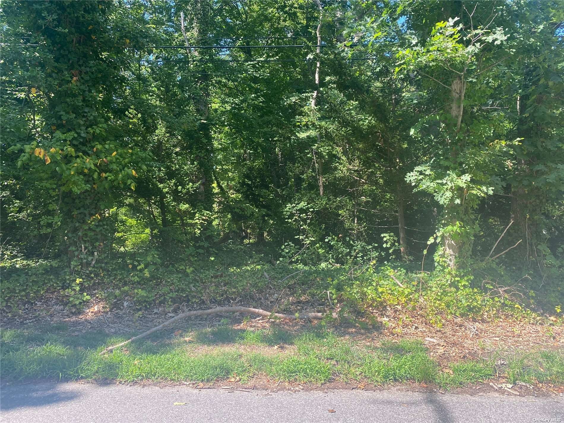 Northport, Suffolk County, NY Undeveloped Land, Homesites for sale