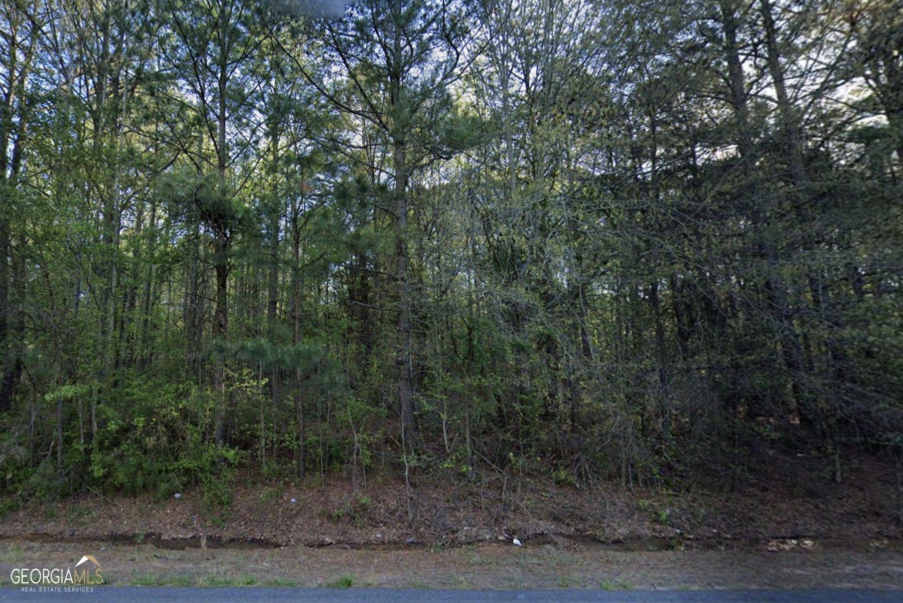 Covington, Newton County, GA Farms and Ranches, Homesites for sale