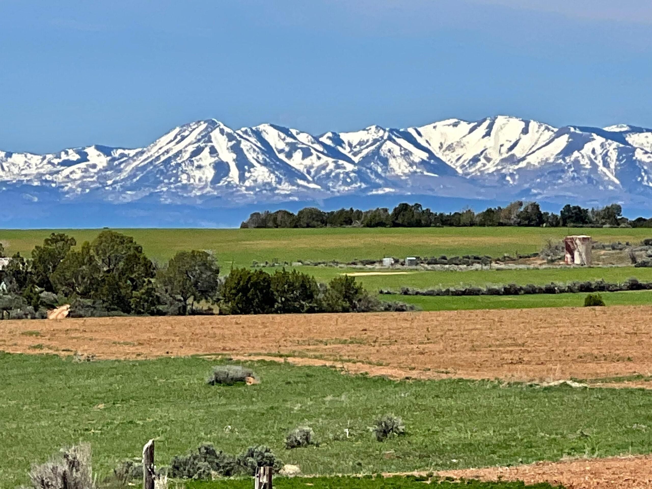 Dove Creek, Dolores County, CO Farms and Ranches, Undeveloped Land