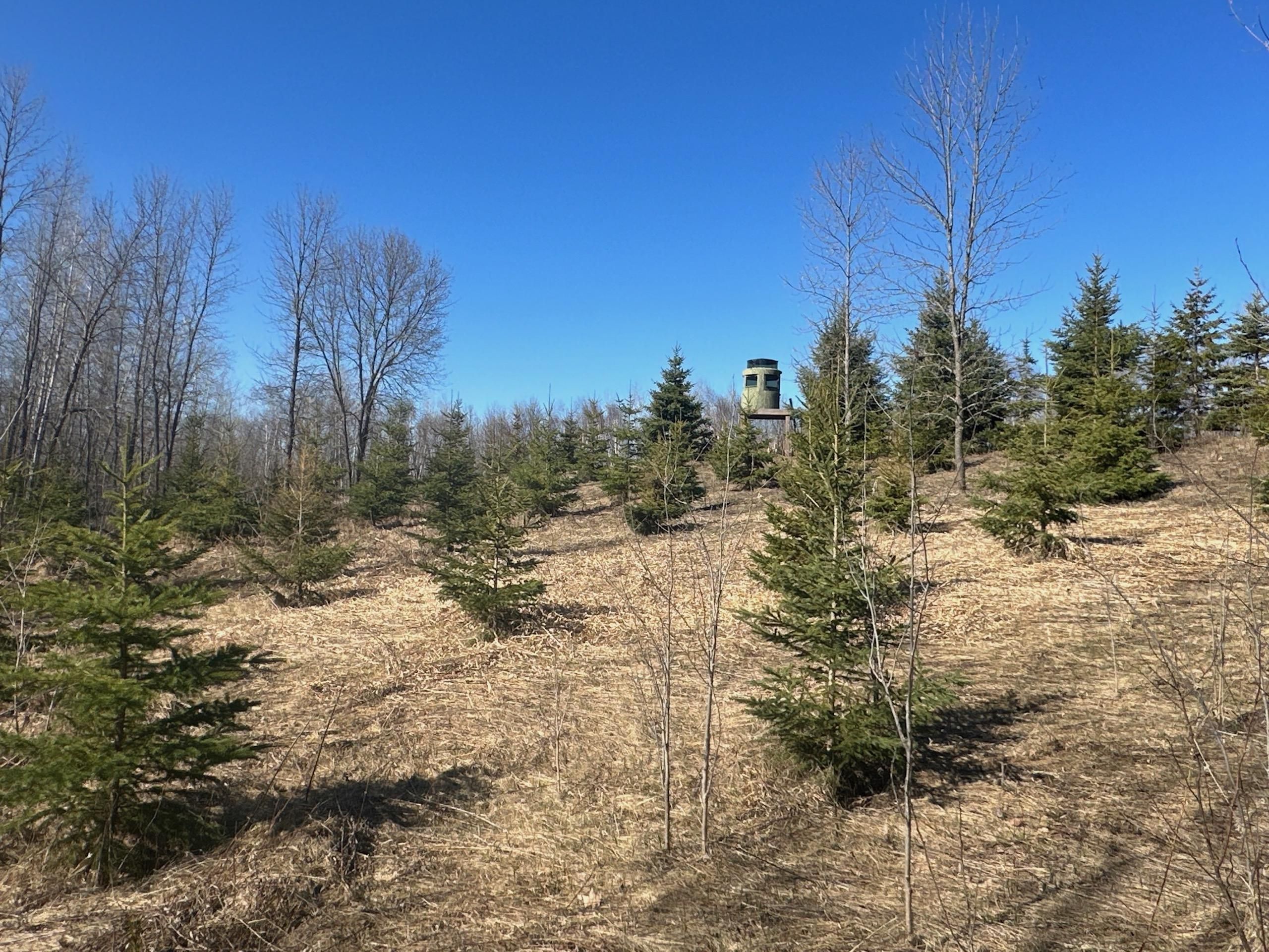 Onamia, Mille Lacs County, MN Recreational Property, Hunting Property