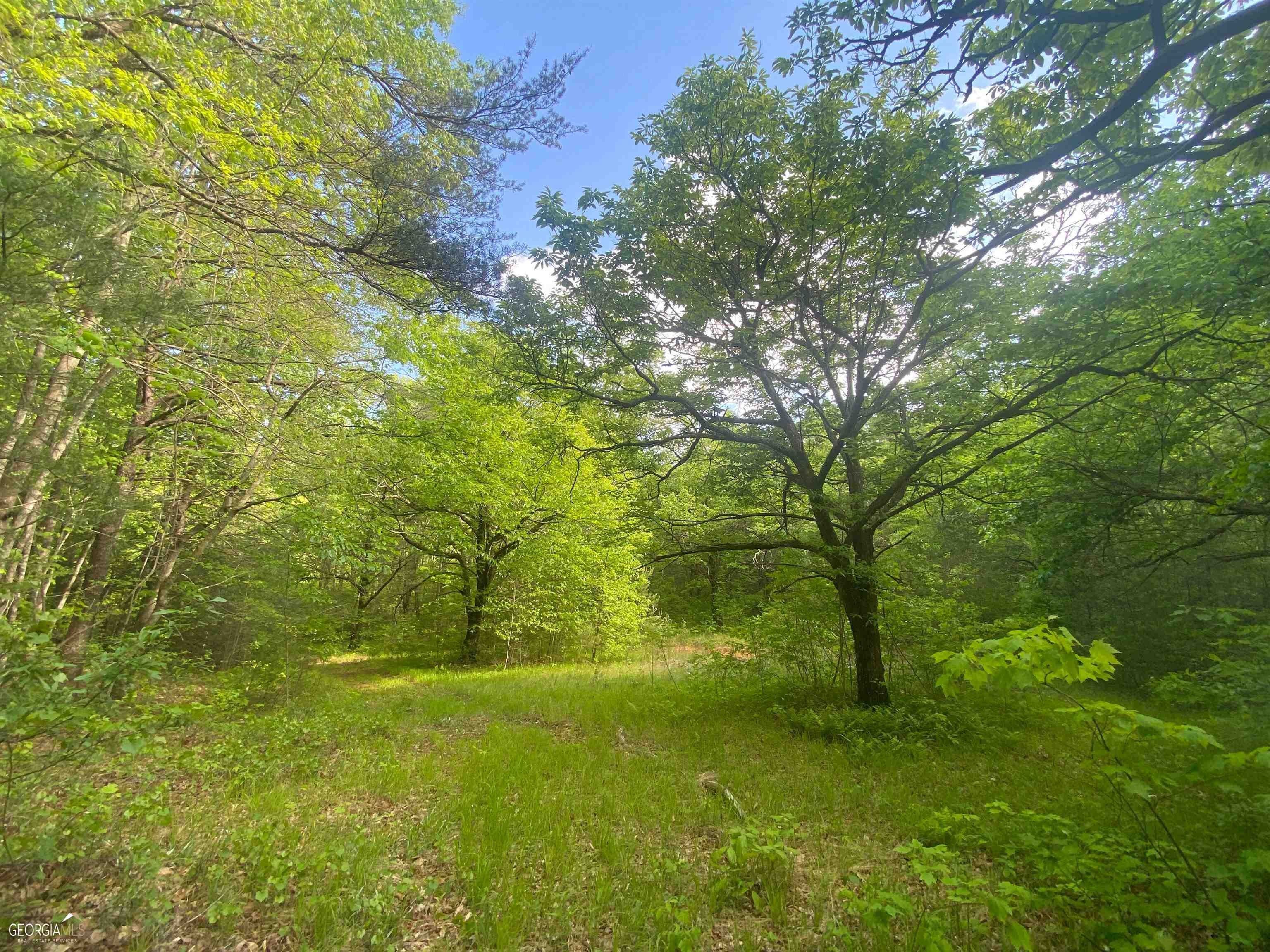 Cleveland, White County, GA Undeveloped Land for sale Property ID