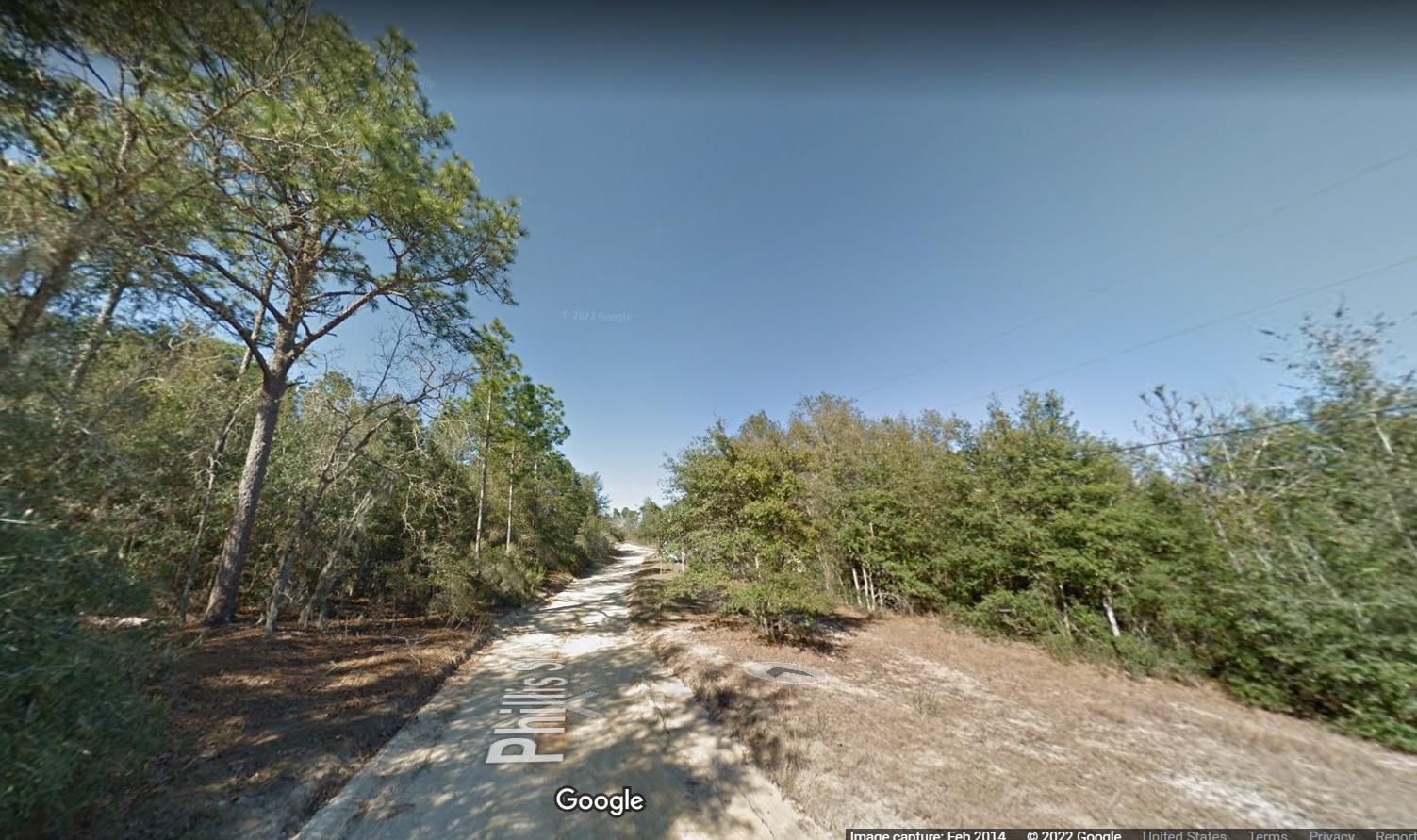 Interlachen, Putnam County, FL Undeveloped Land, Lakefront Property