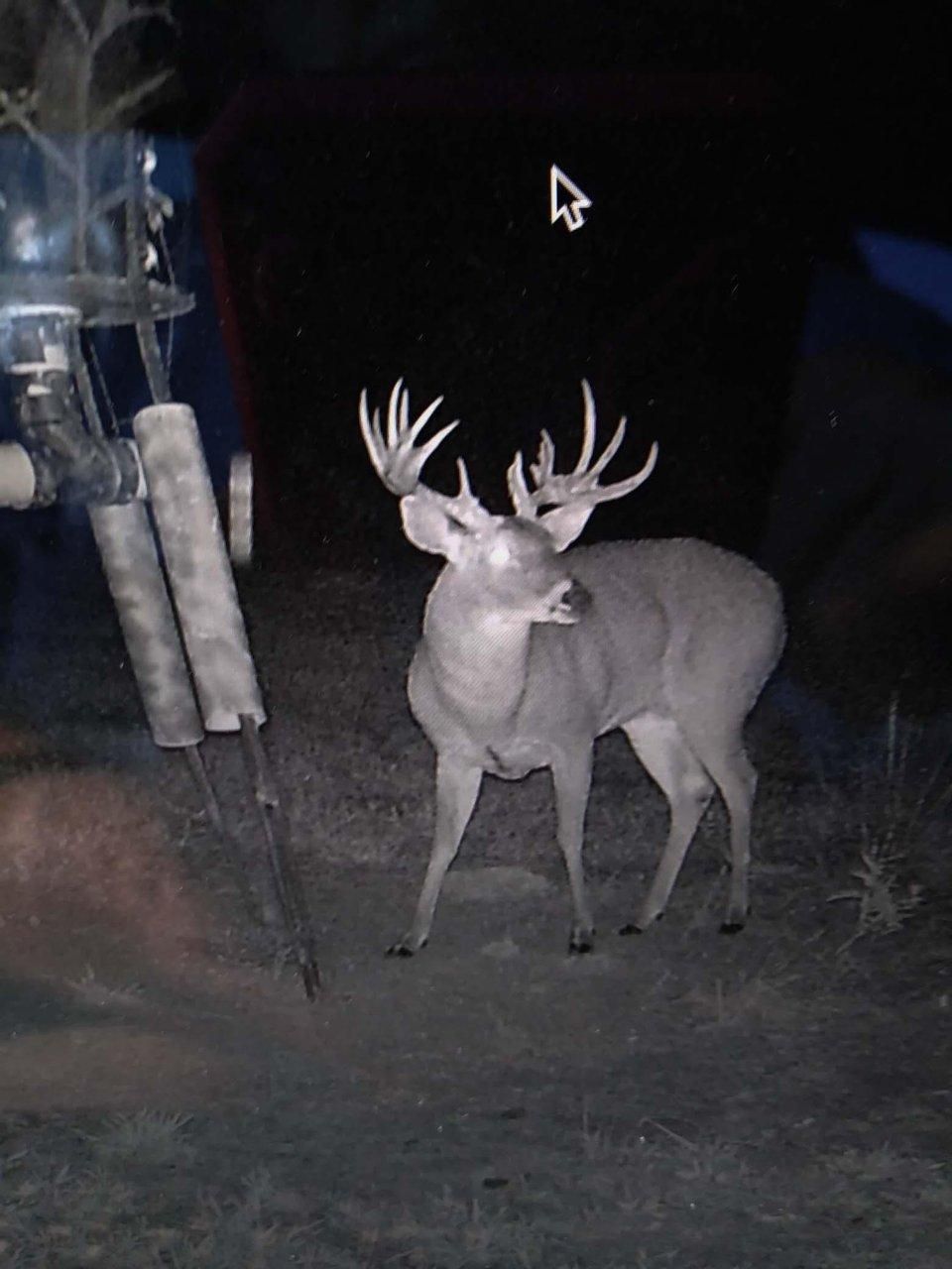 Tupelo, Coal County, OK Farms and Ranches, Hunting Property, House for