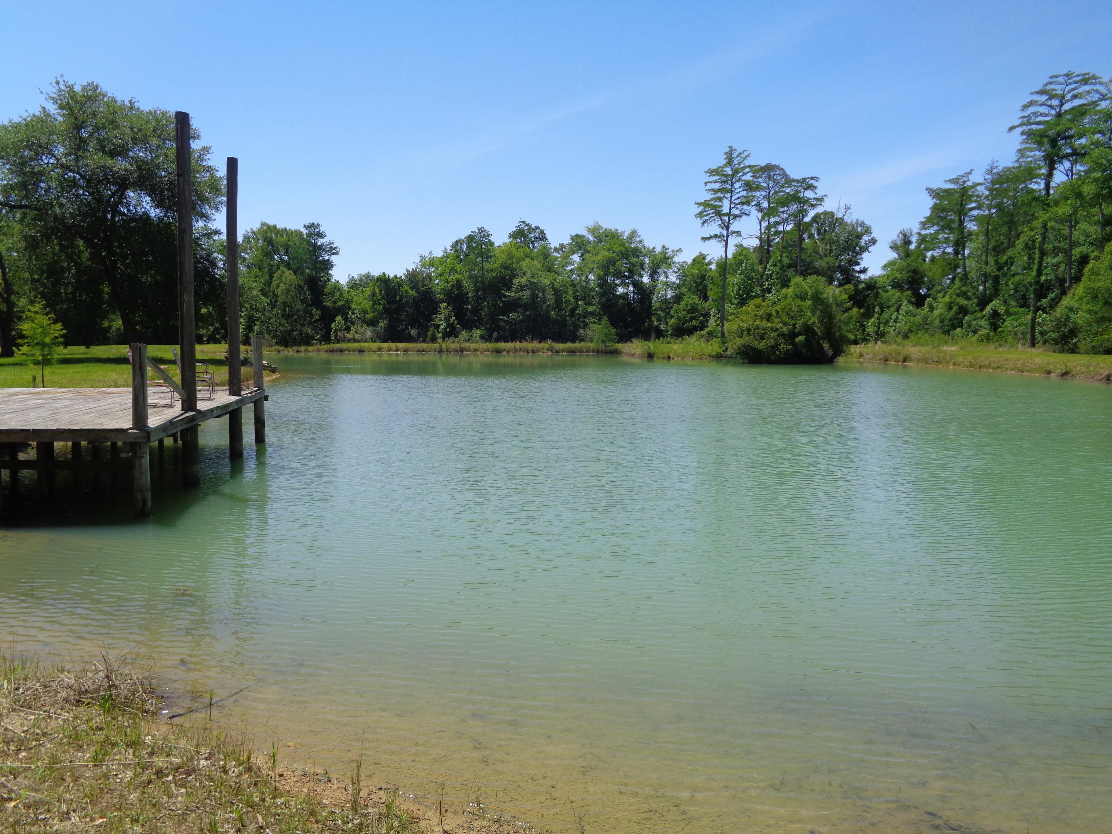Arlington, Early County, GA Recreational Property, Hunting Property for