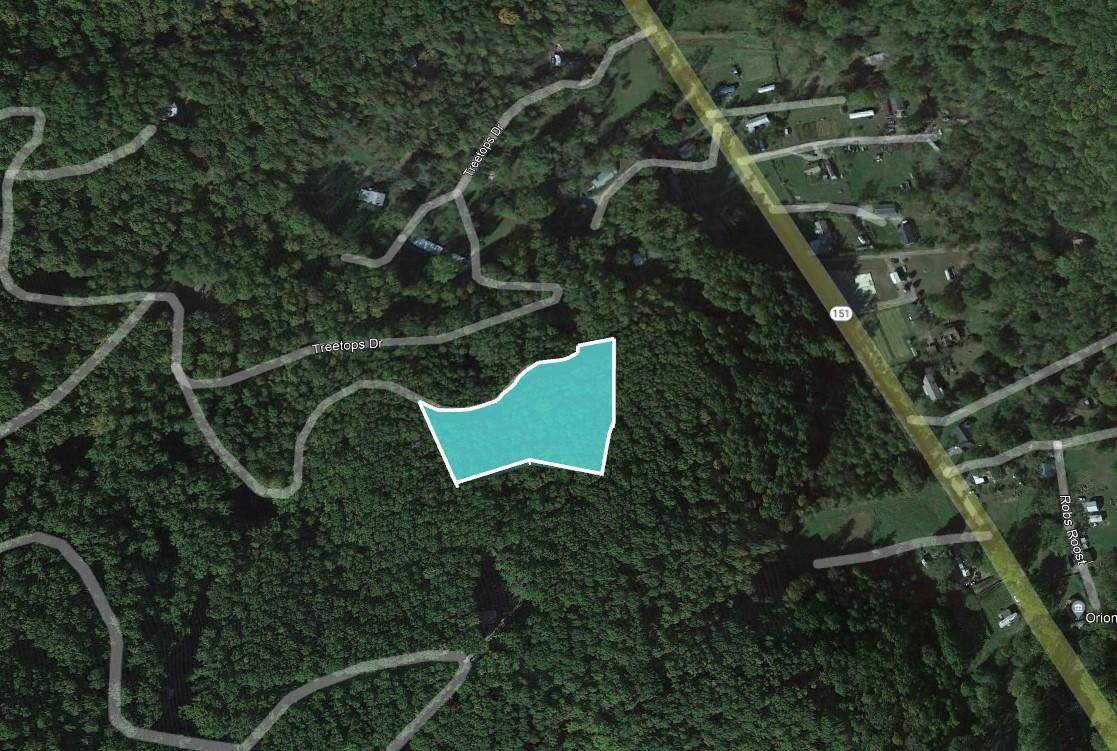 Candler, County, NC Recreational Property, Undeveloped Land