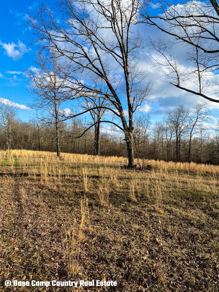 130 acres in Zalma, MO, 63787 LandWatch