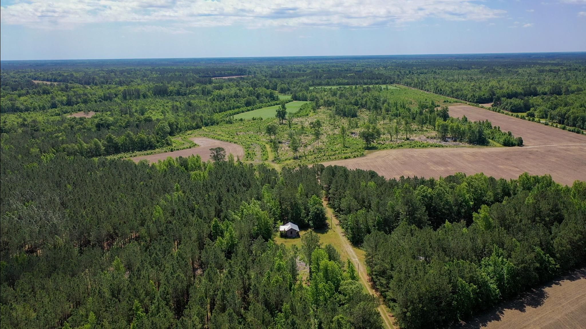 Salters, Williamsburg County, SC Recreational Property, Timberland