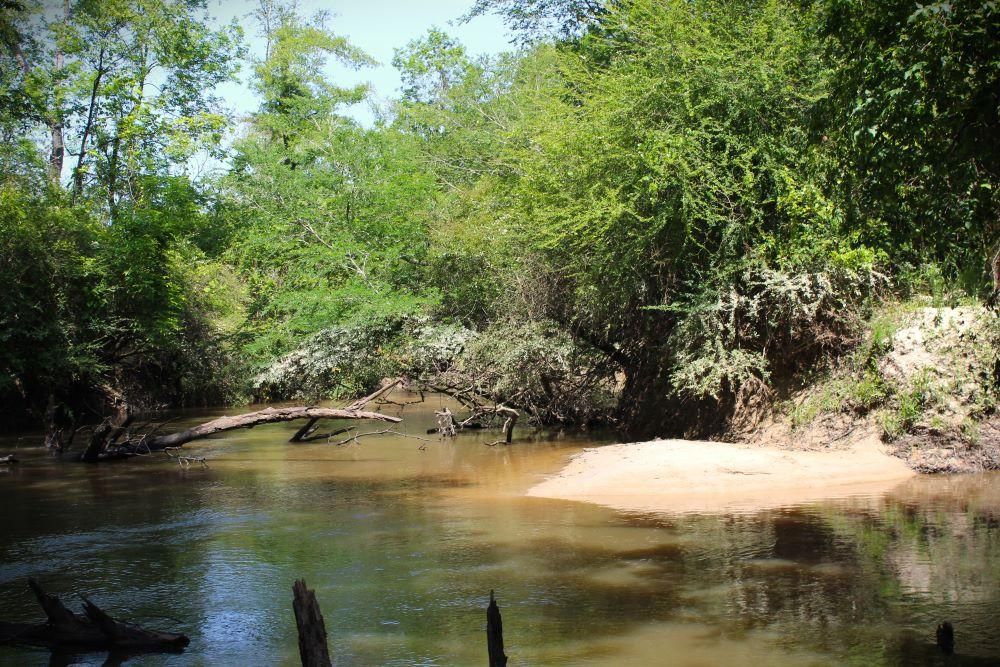 Laurel, Jones County, MS Recreational Property, Hunting Property for
