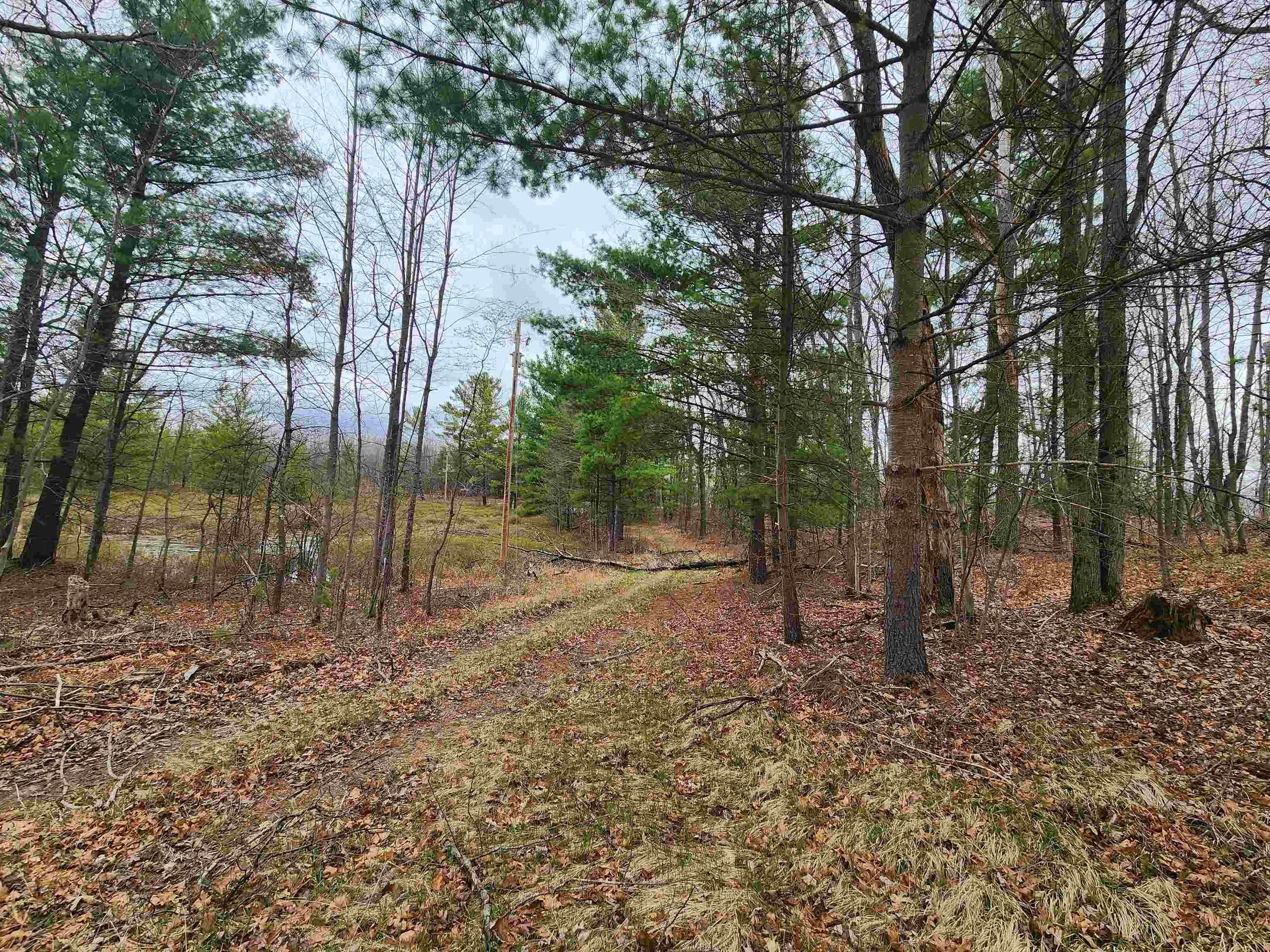 Harrison, Clare County, MI Farms and Ranches for sale Property ID