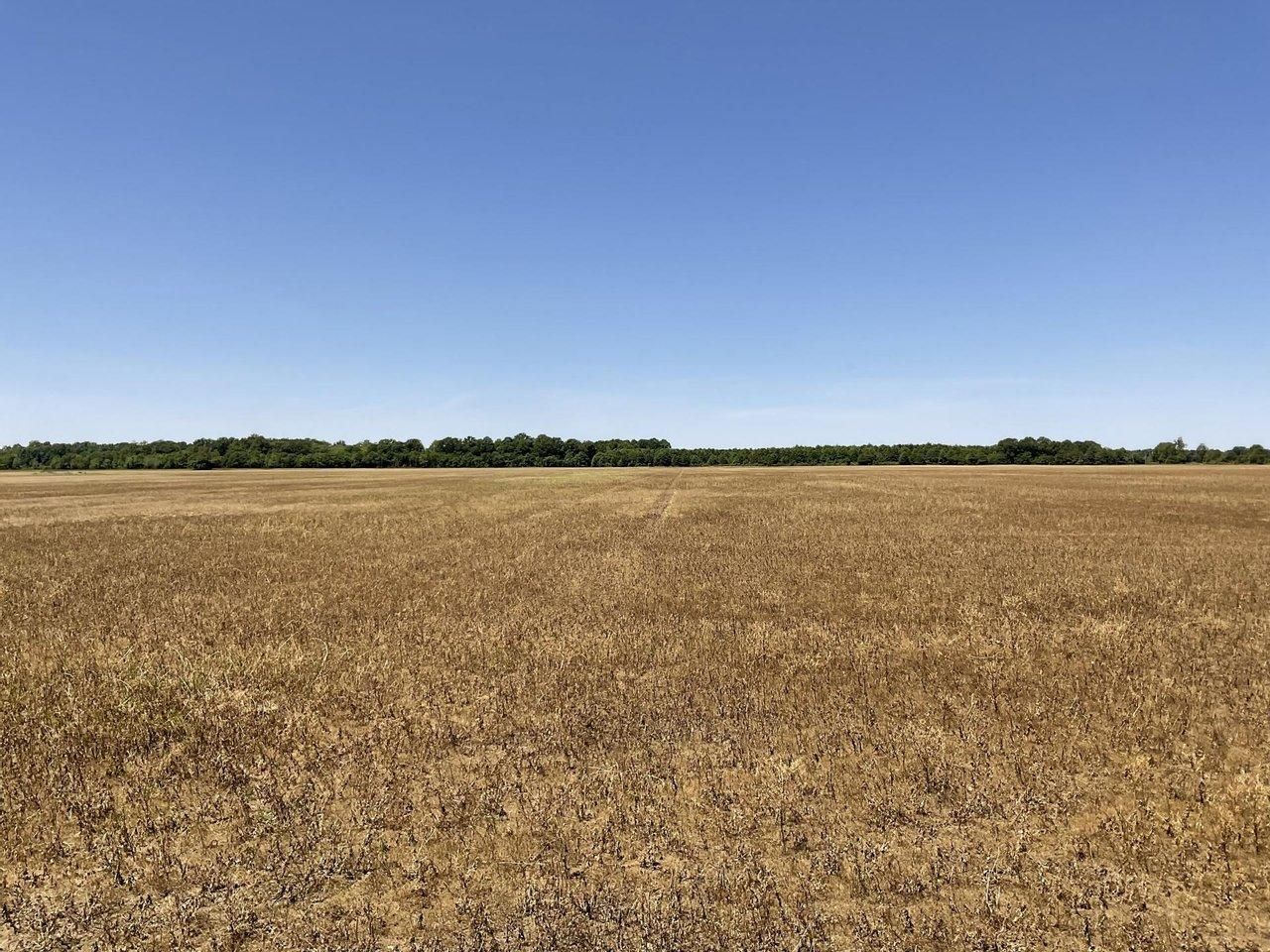 Dry Bayou Road, Crowder, MS 38643 LandWatch