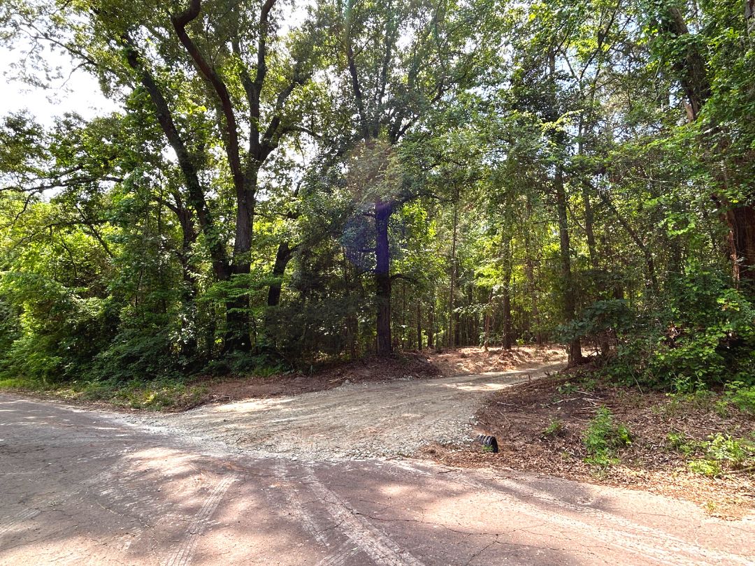 Leesburg, Upshur County, TX Timberland Property, Hunting Property for