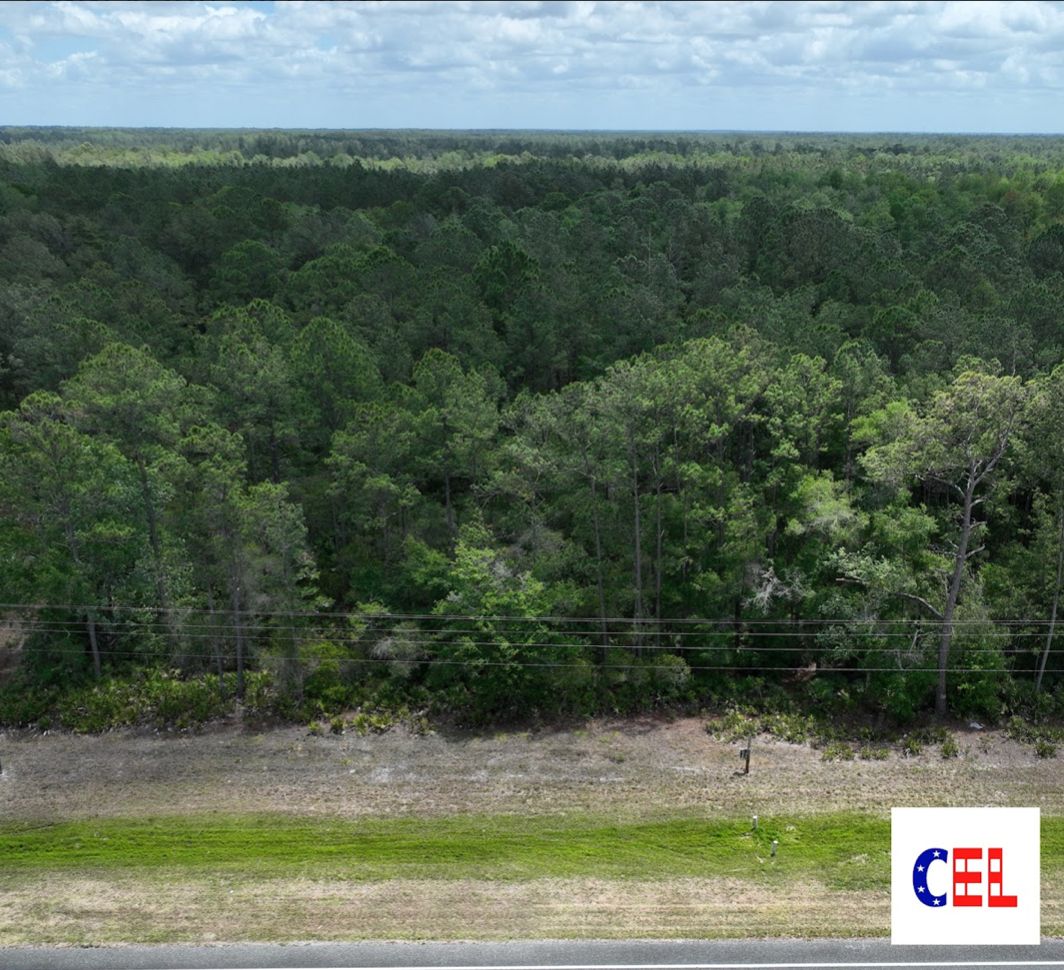 Inglis, Levy County, FL Undeveloped Land, Homesites for sale Property