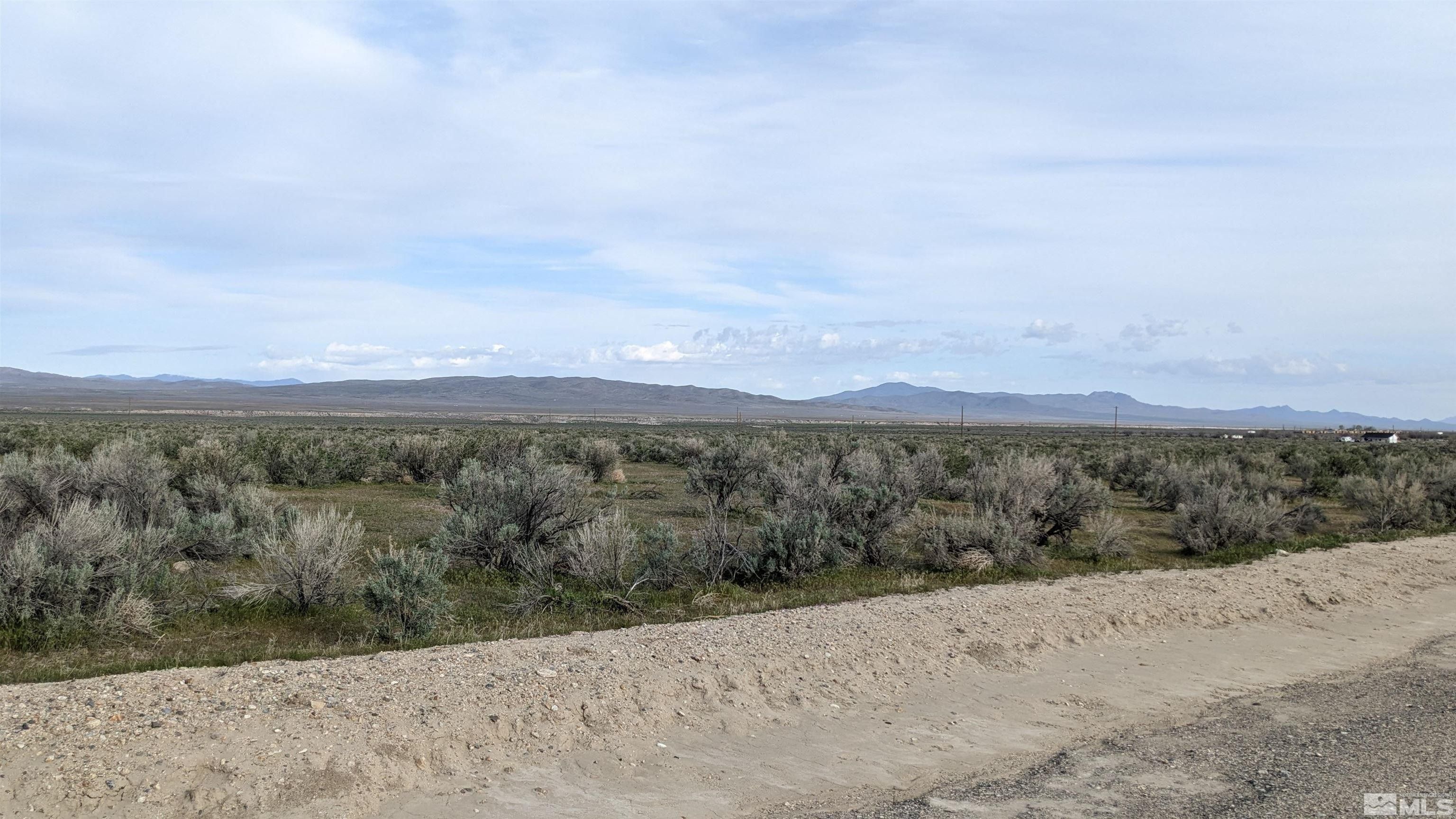 Lovelock, Pershing County, NV Farms and Ranches, Homesites for sale