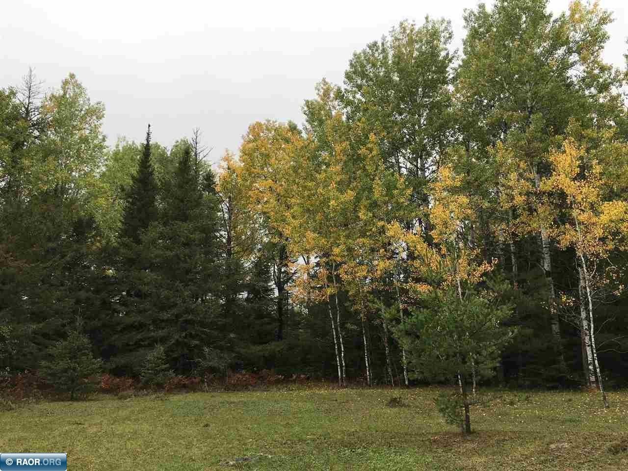 Tower, Saint Louis County, MN Farms and Ranches for sale Property ID