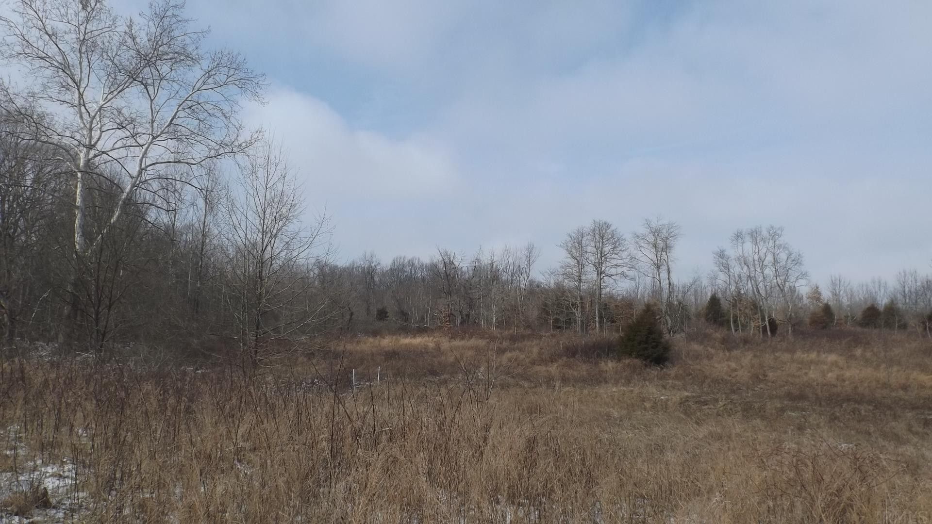 Petersburg, Pike County, IN Undeveloped Land for sale Property ID