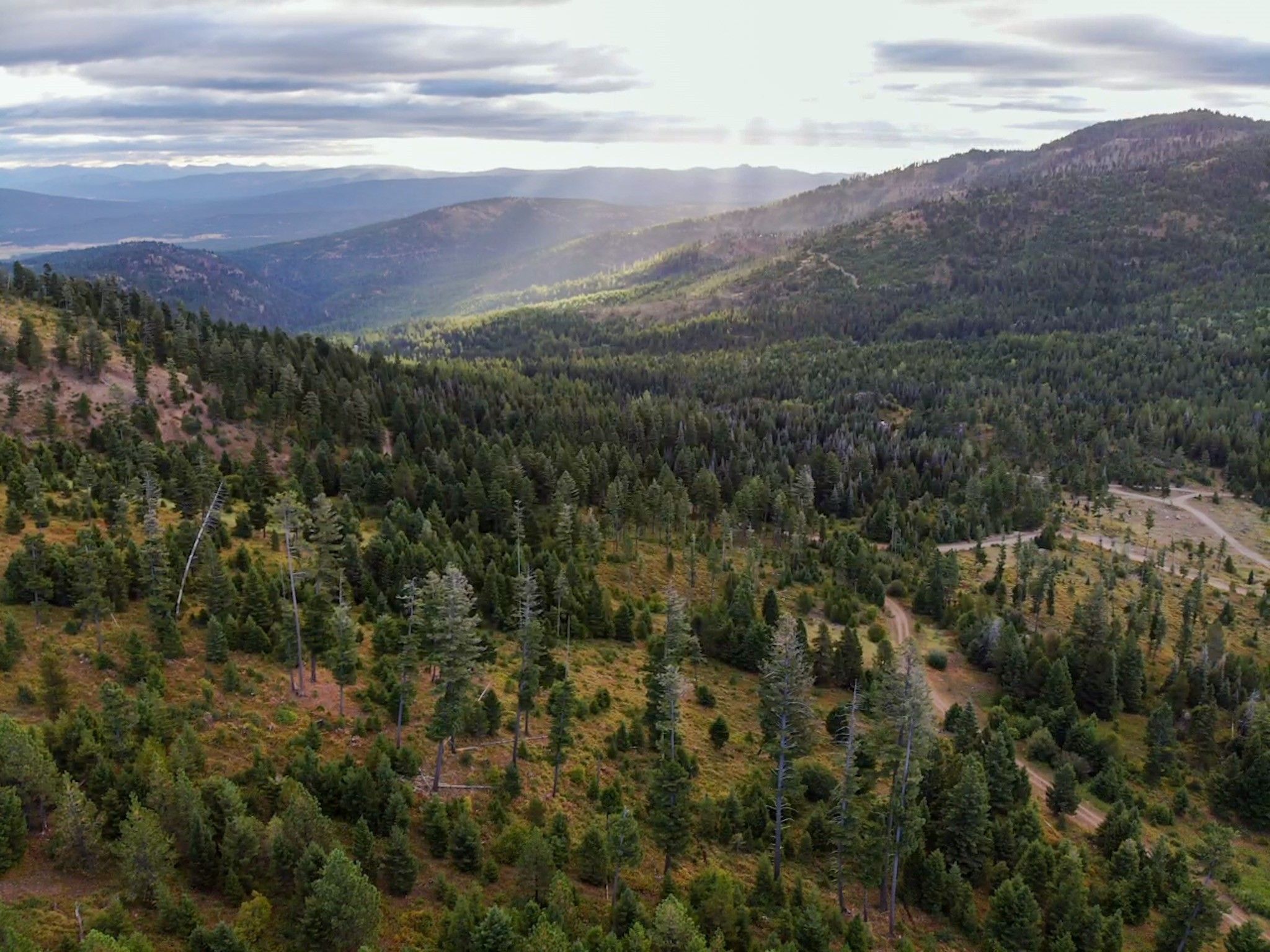 Potomac, Missoula County, MT Farms and Ranches for sale Property ID