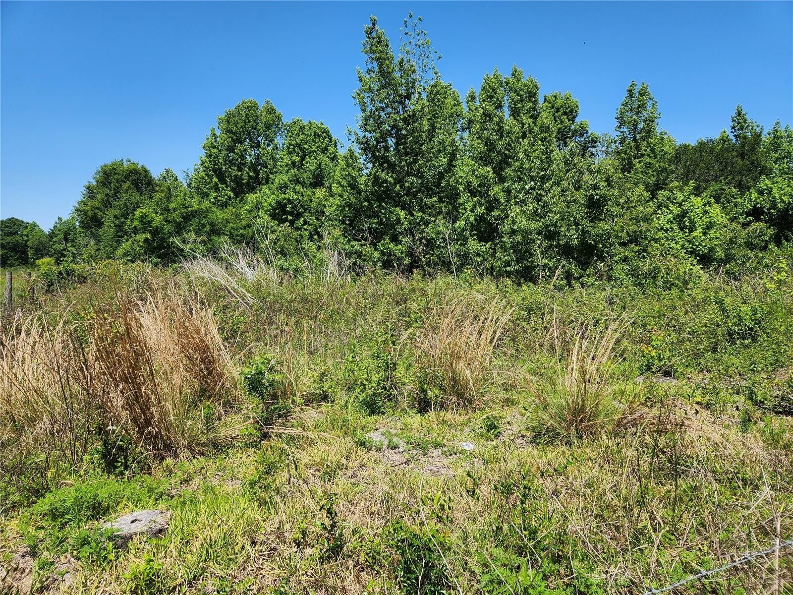 ster, Sumter County, FL Undeveloped Land for sale Property ID
