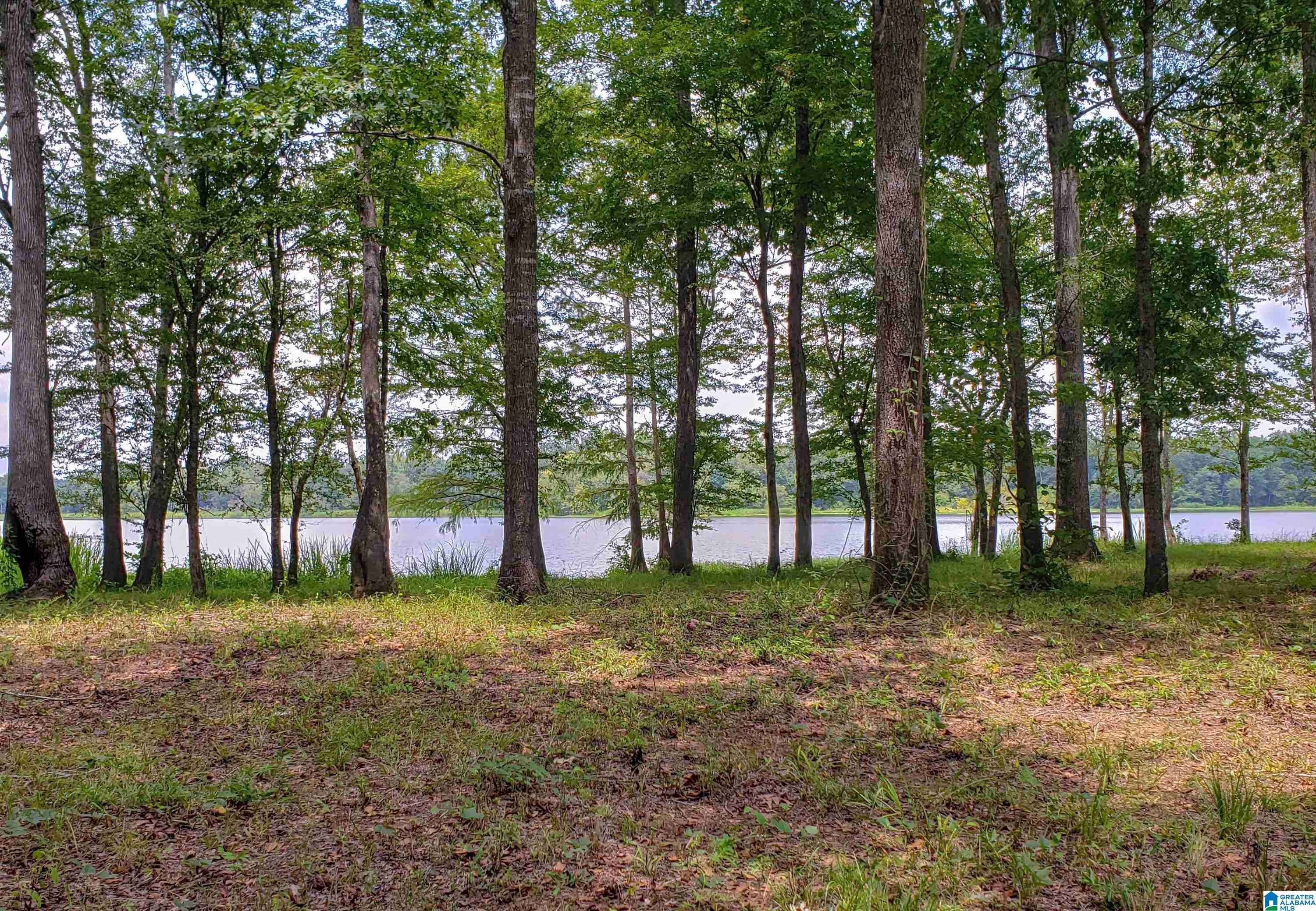 Akron, Hale County, AL Undeveloped Land, Lakefront Property, Waterfront