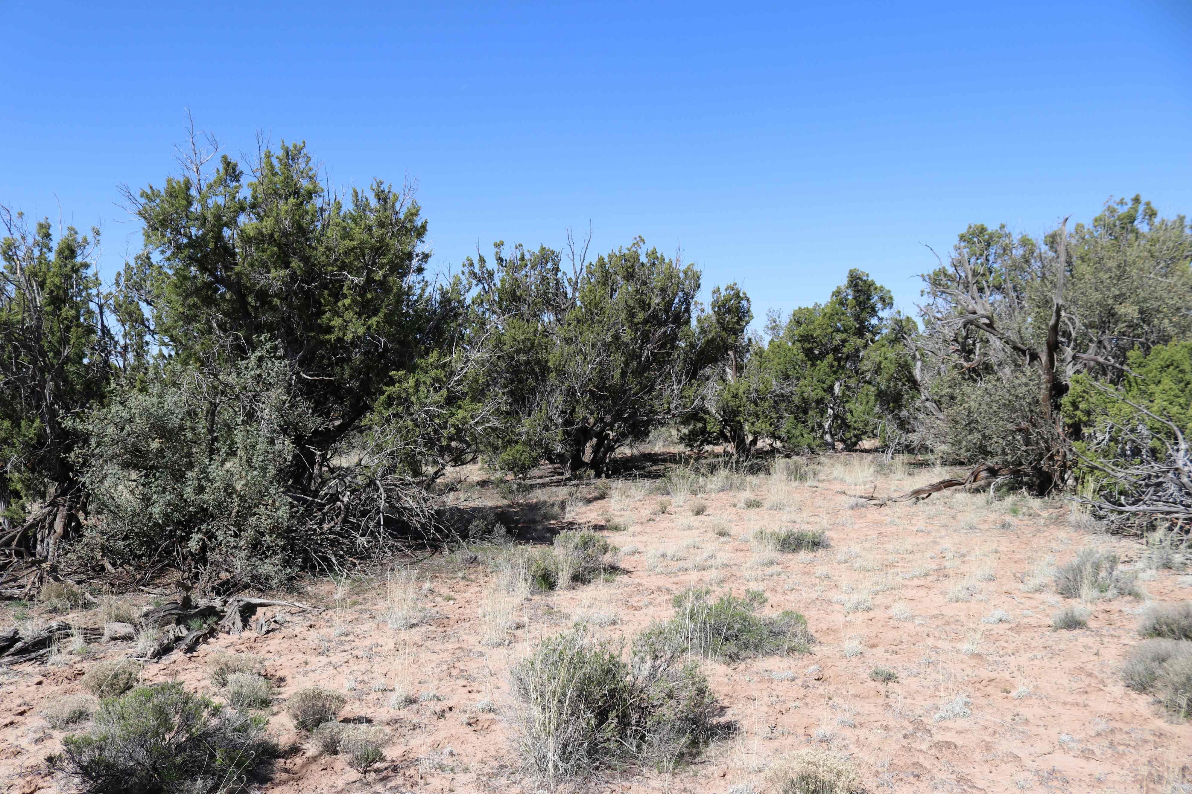 Chambers, Apache County, AZ Recreational Property, Undeveloped Land