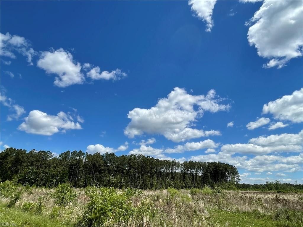 Suffolk, Suffolk City County, VA Undeveloped Land for sale Property ID