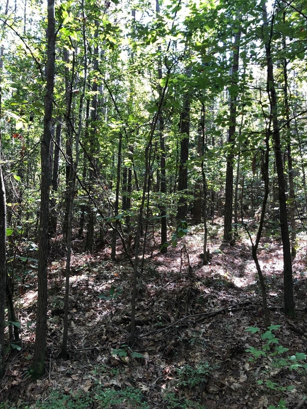 Rockingham, Richmond County, NC for sale Property ID 416400716 LandWatch