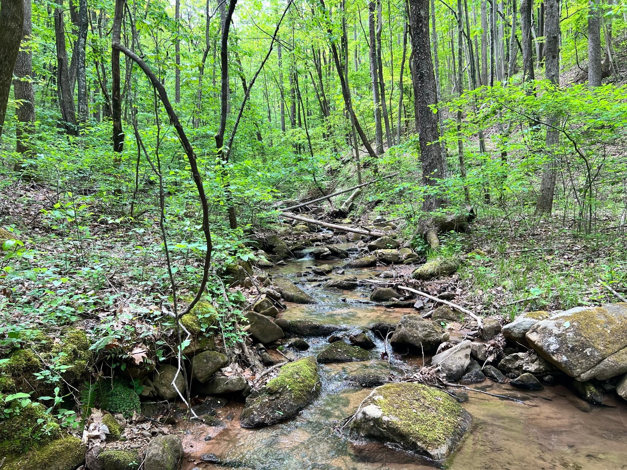 Moravian Falls, Wilkes County, NC Recreational Property, Undeveloped
