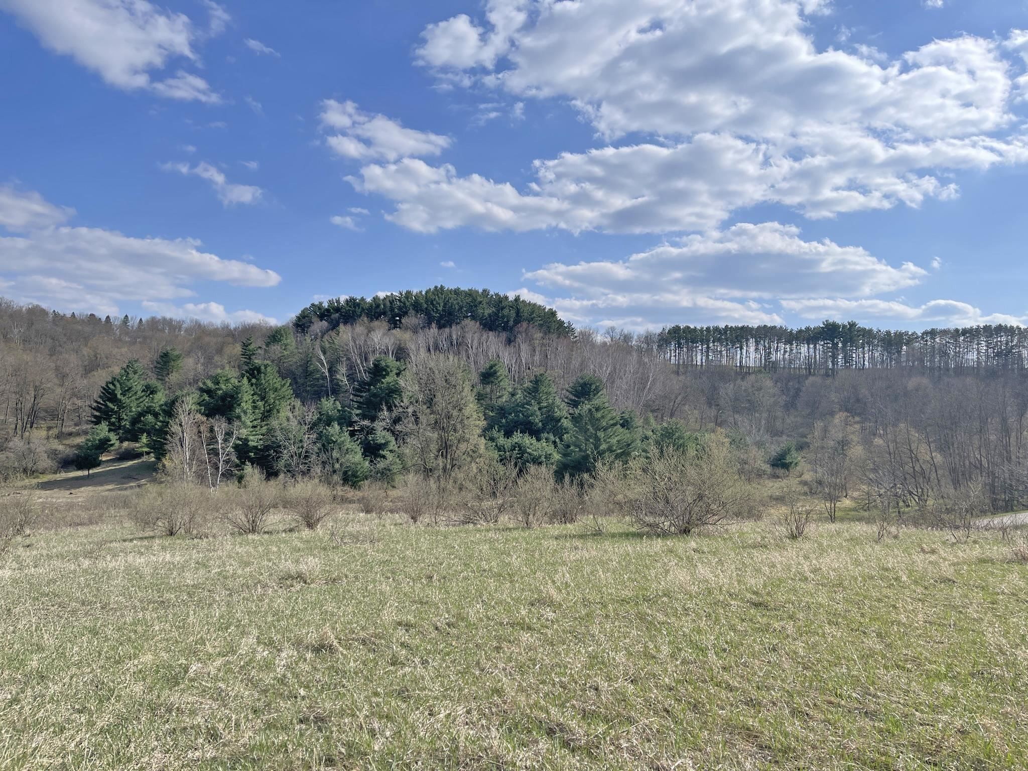 La Valle, Sauk County, WI Undeveloped Land, Homesites for sale Property