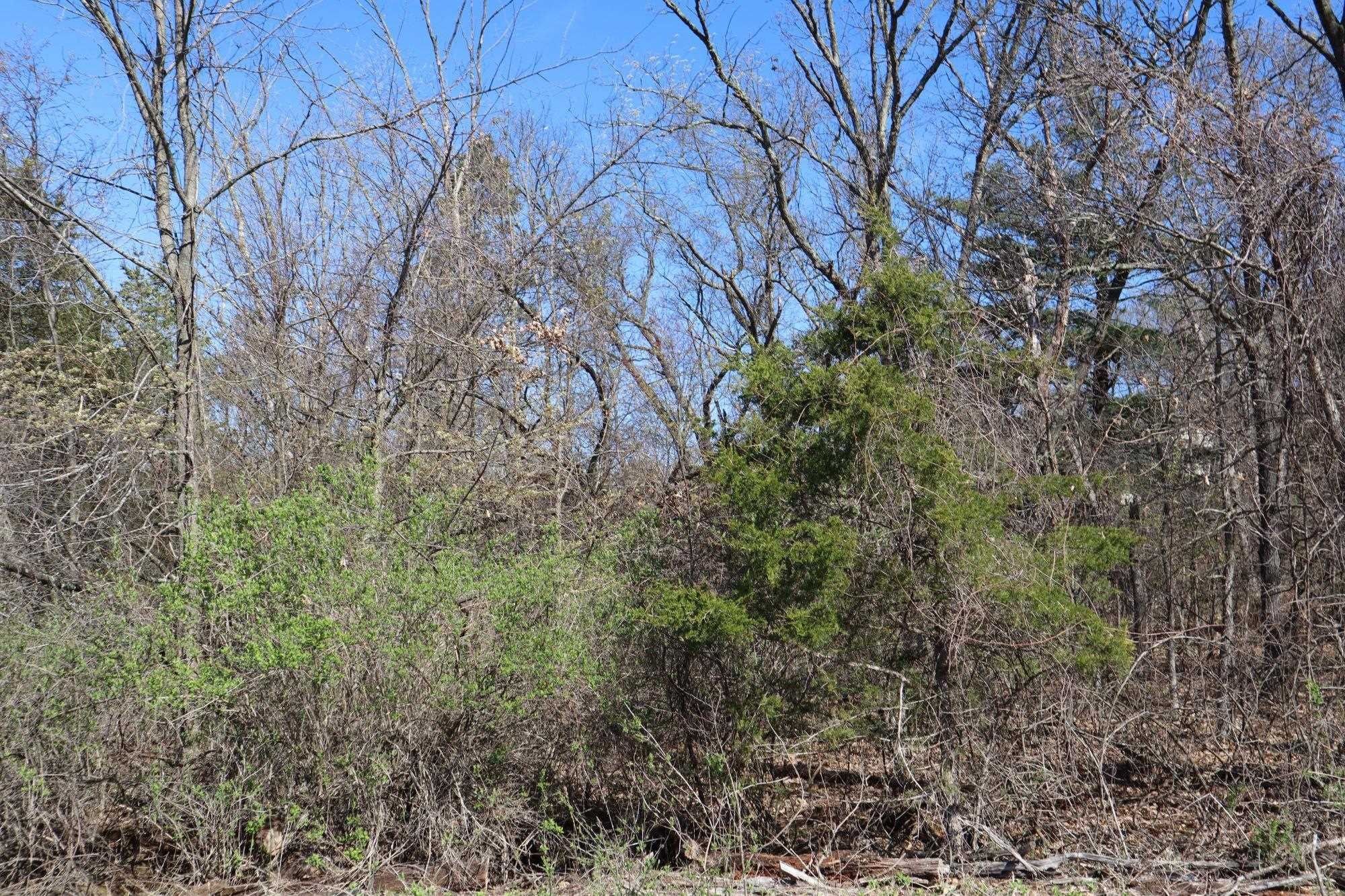 Mauston, Juneau County, WI Farms and Ranches, Homesites for sale