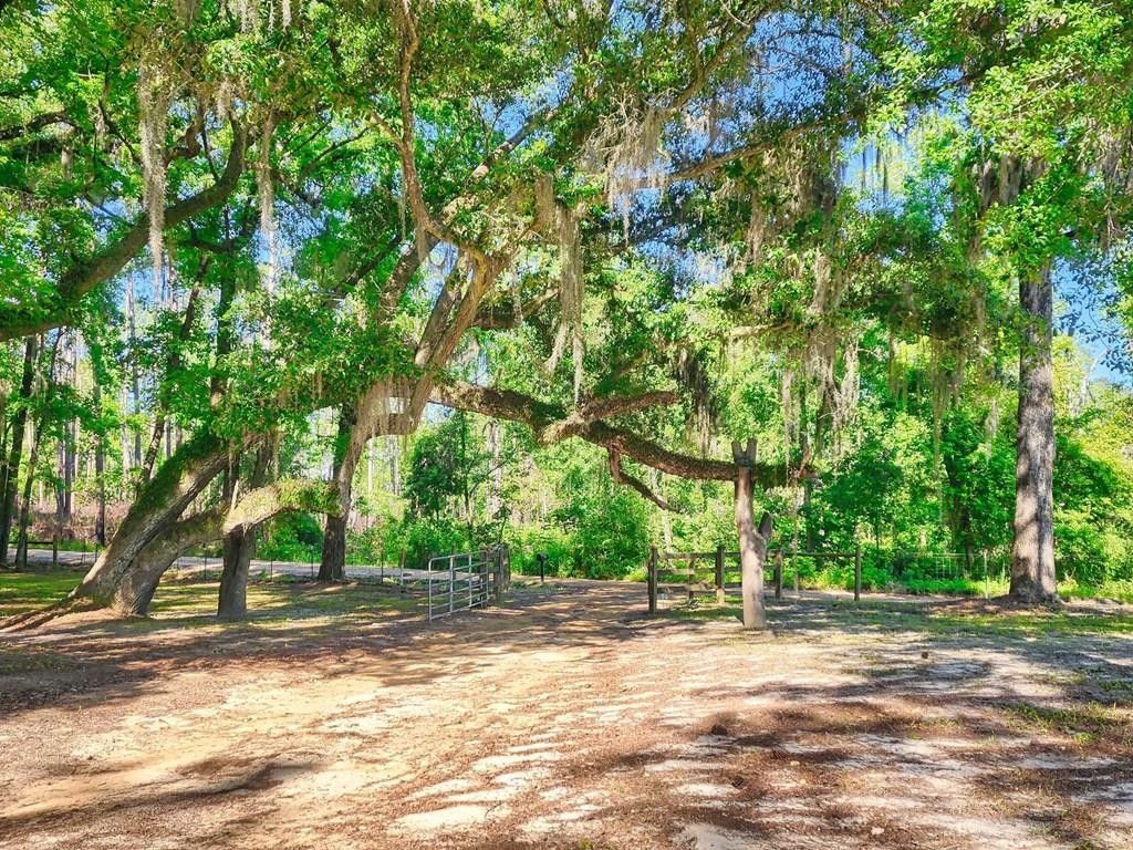 Whigham, Grady County, GA House for sale Property ID 416402819 LandWatch